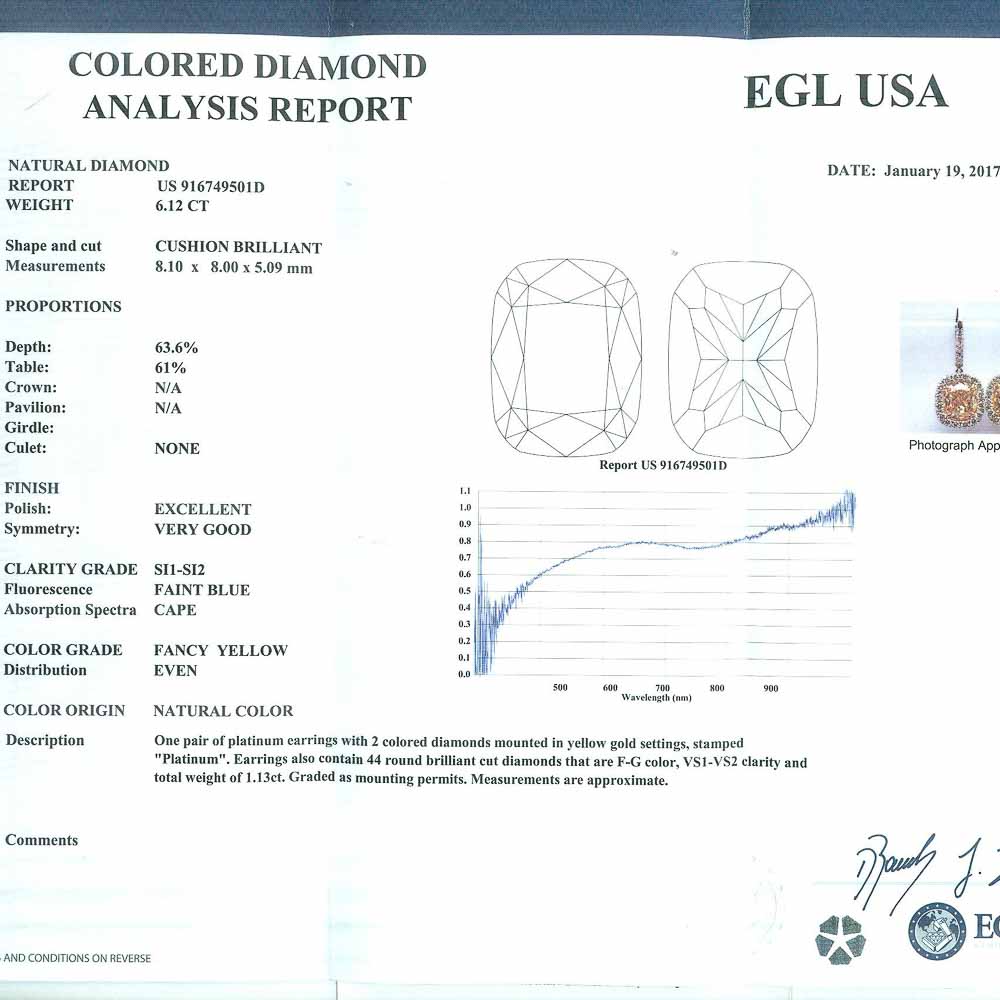 Platinum Diamond Gemstone Earrings