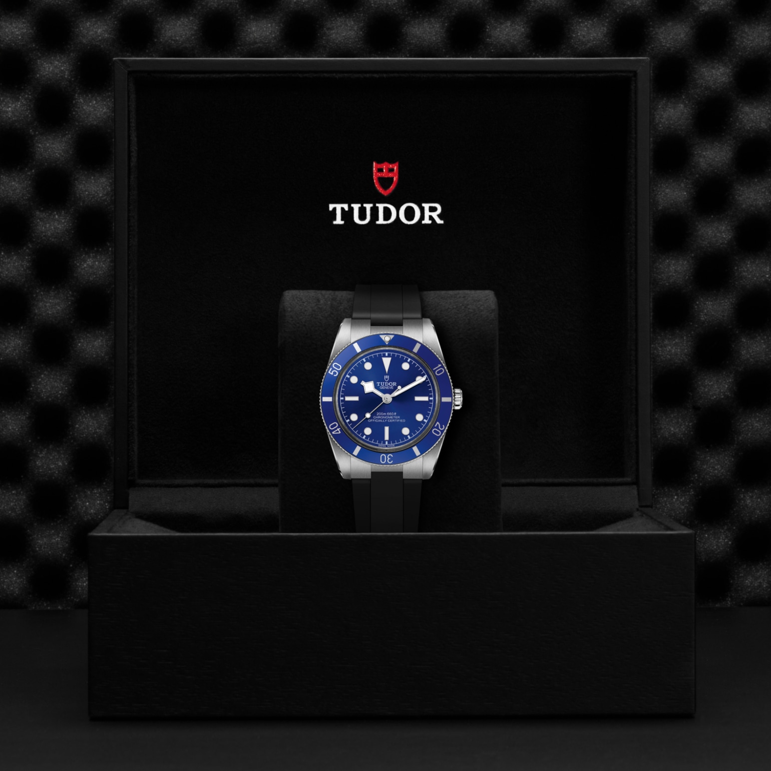 TUDOR Black Bay 54 Watch - M79000B-0002 at William Barthman