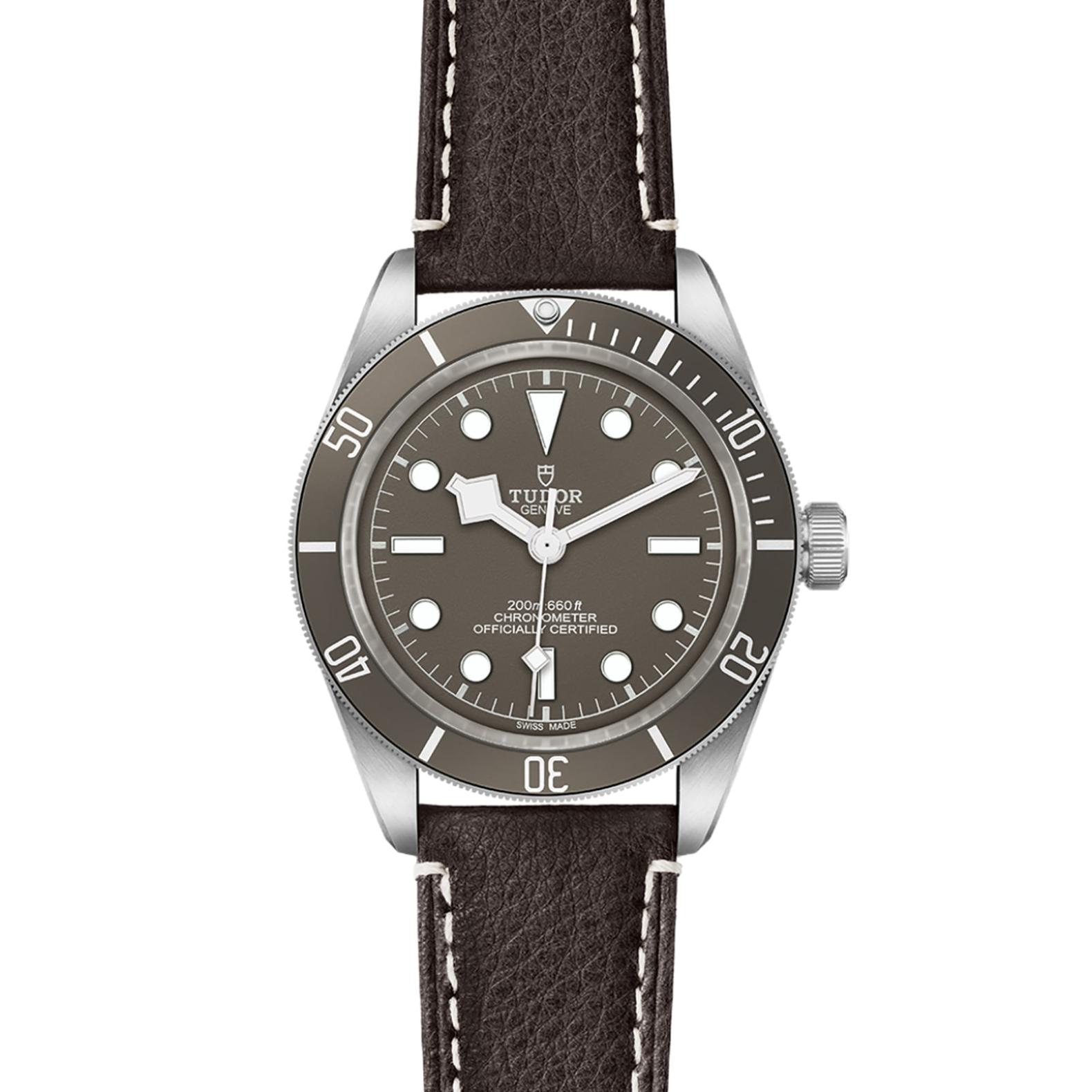 TUDOR Black Bay 58 Watch - M79010SG-0001 at A.R. Morris Jewelers