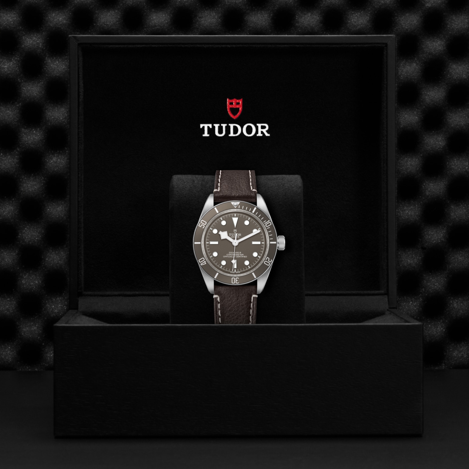TUDOR Black Bay 58 Watch - M79010SG-0001 at A.R. Morris Jewelers