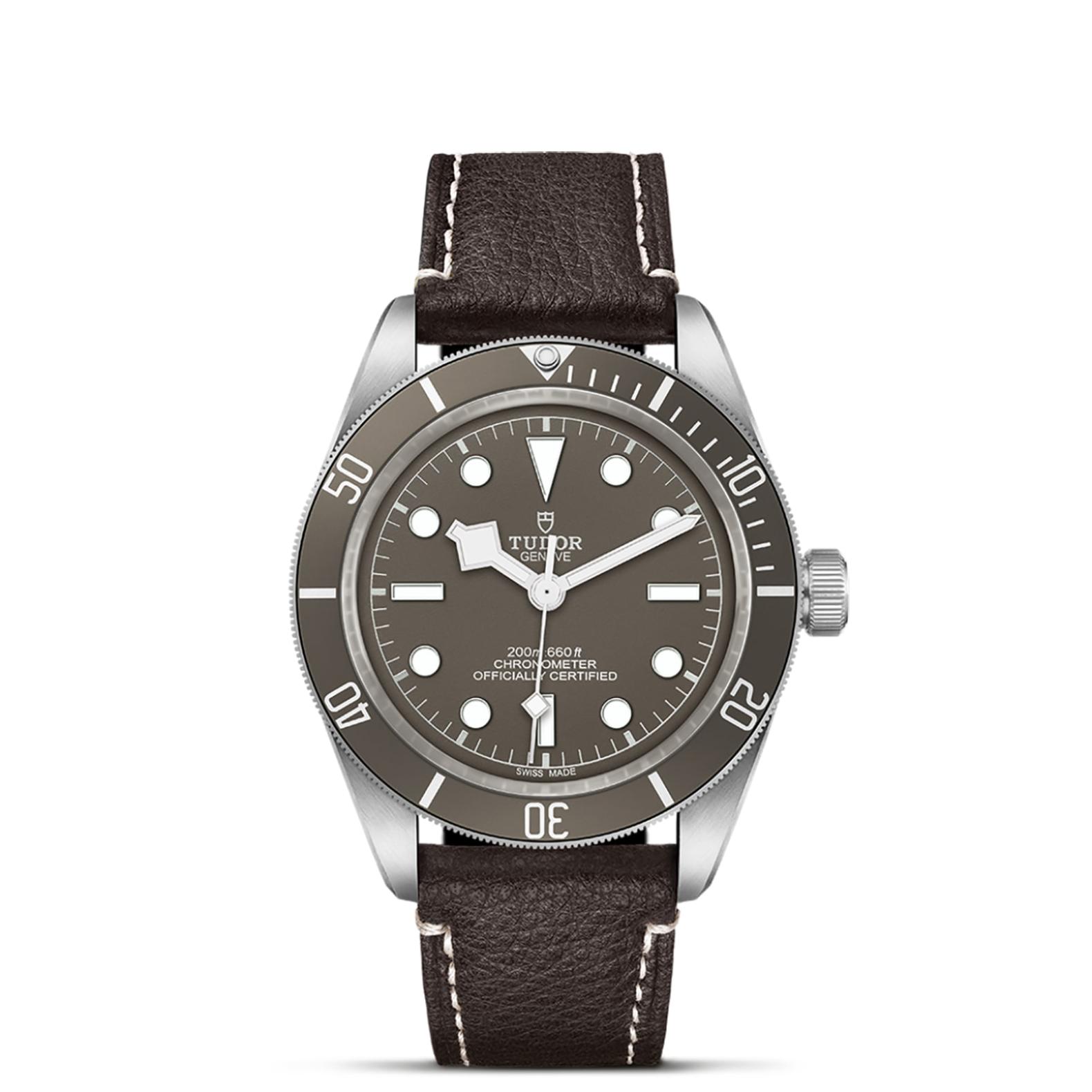 TUDOR Black Bay 58 Watch - M79010SG-0001 at A.R. Morris Jewelers