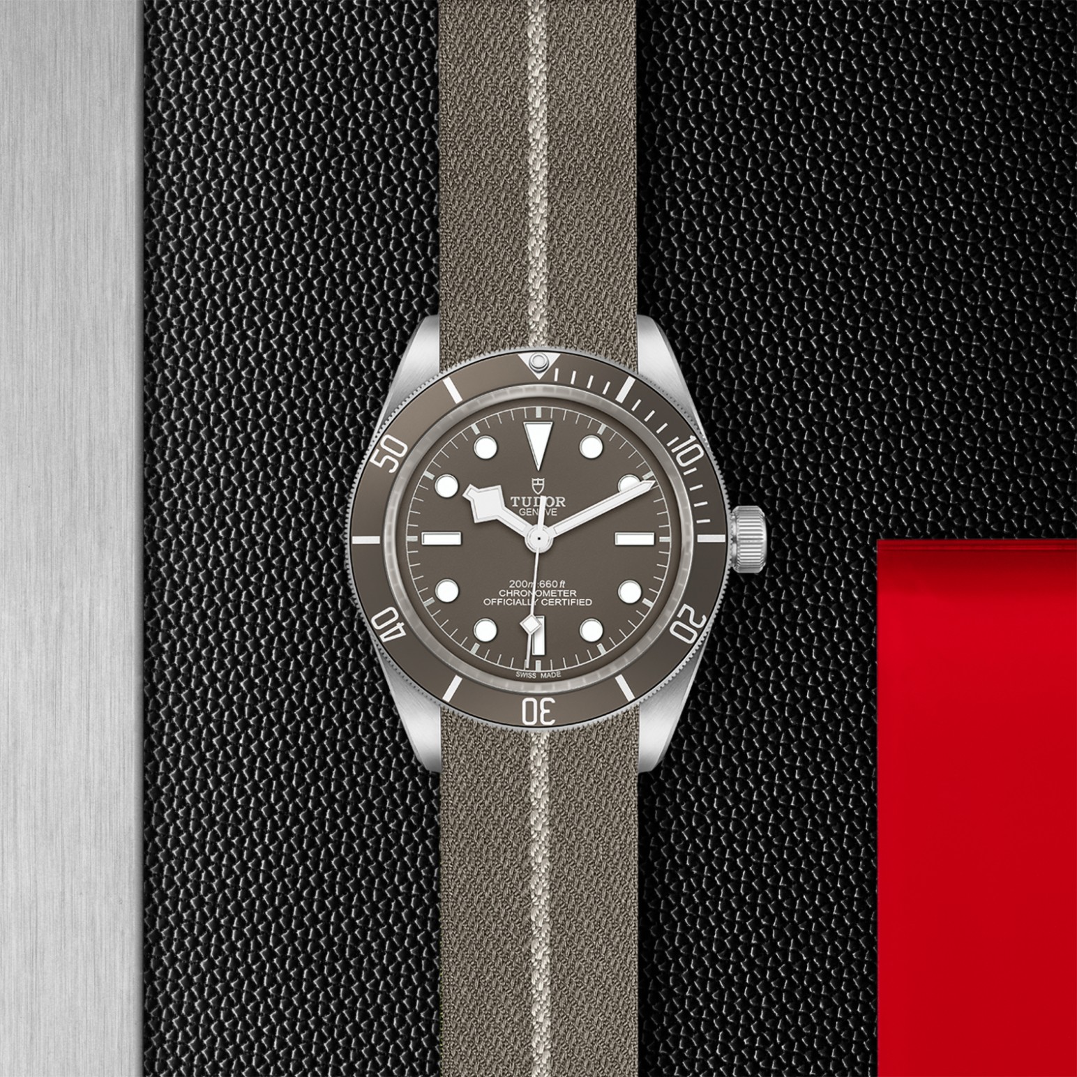 TUDOR Black Bay 58 Watch - M79010SG-0002 at William Barthman
