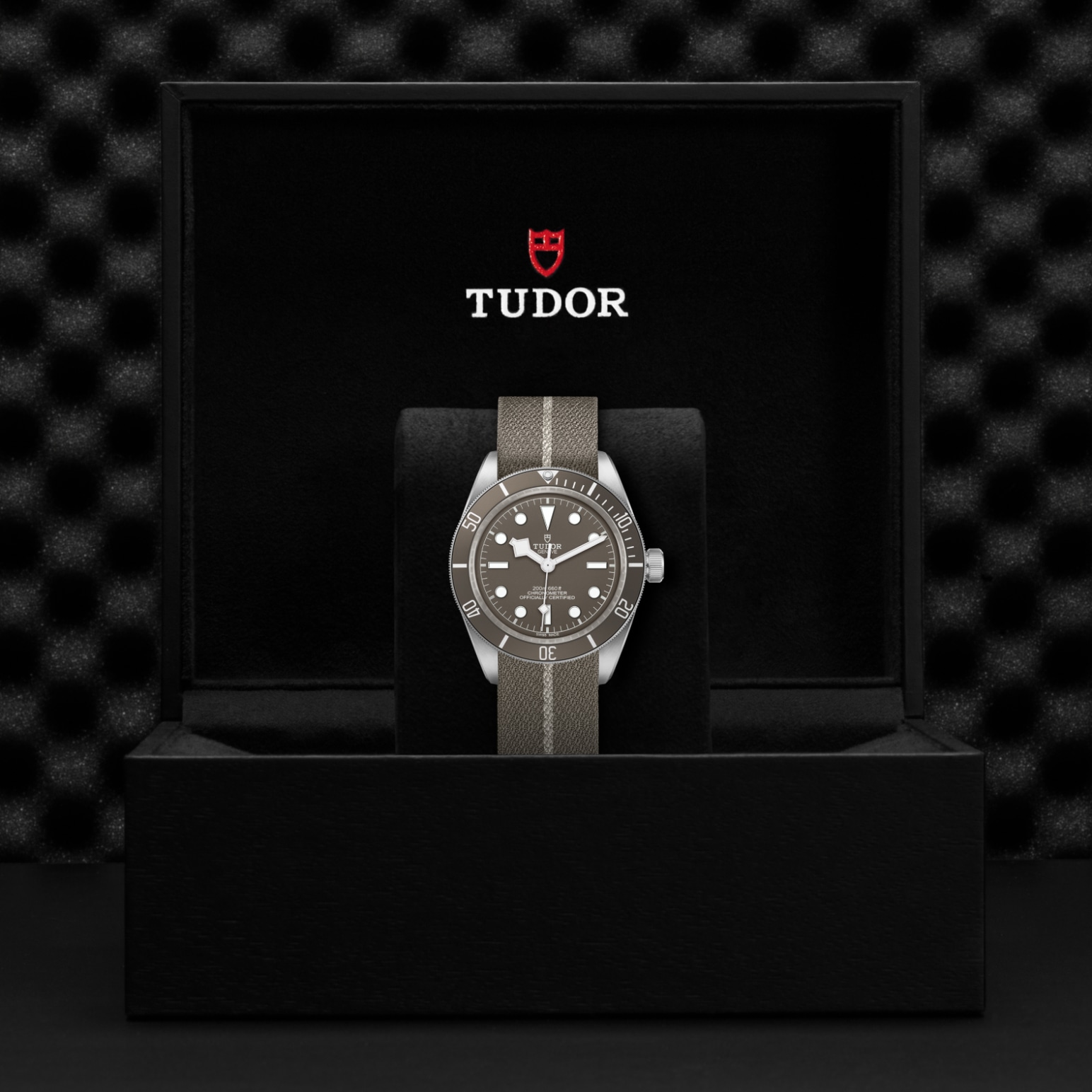 TUDOR Black Bay 58 Watch - M79010SG-0002 at William Barthman