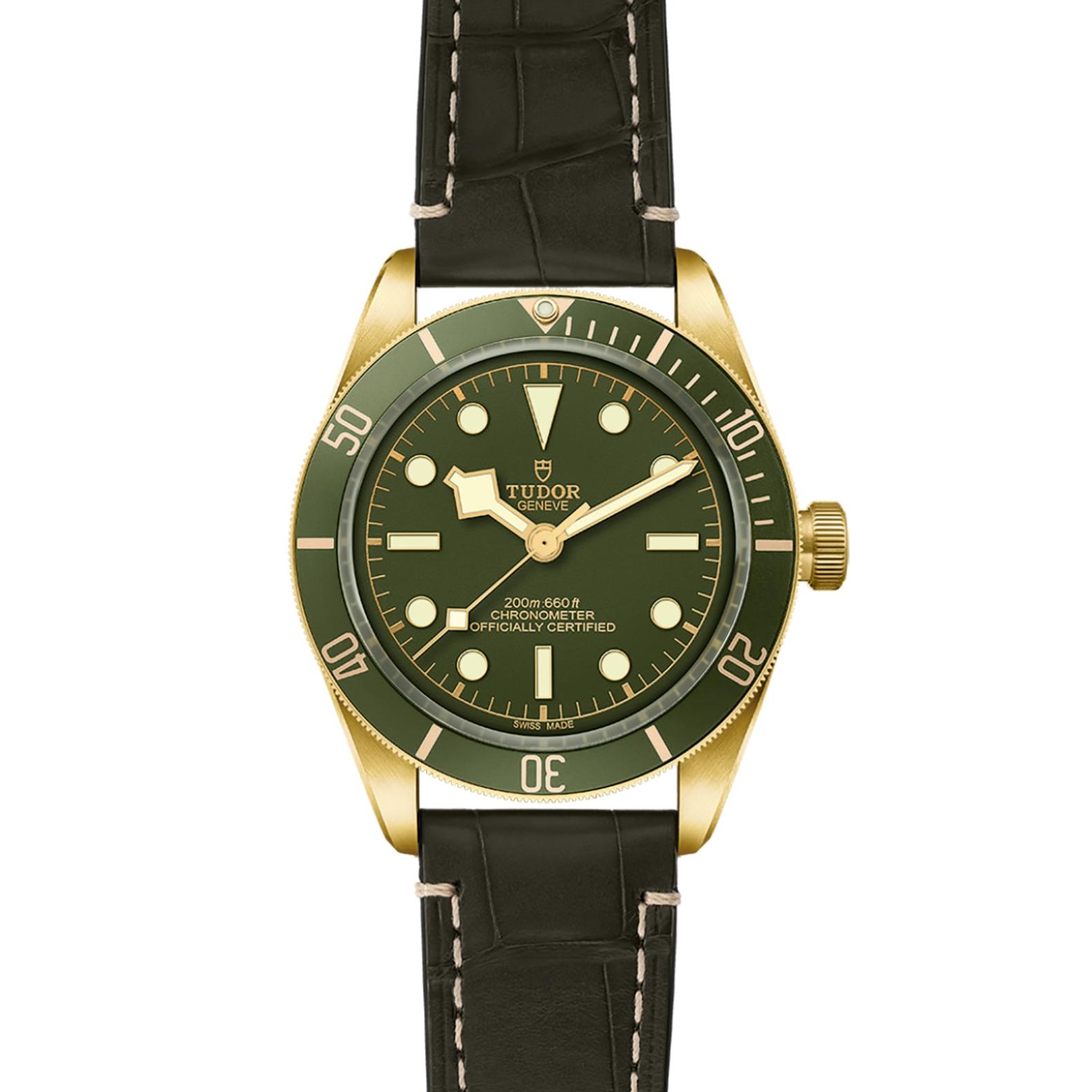 TUDOR Black Bay 58 Watch - M79018V-0001 at Tiny Jewel Box