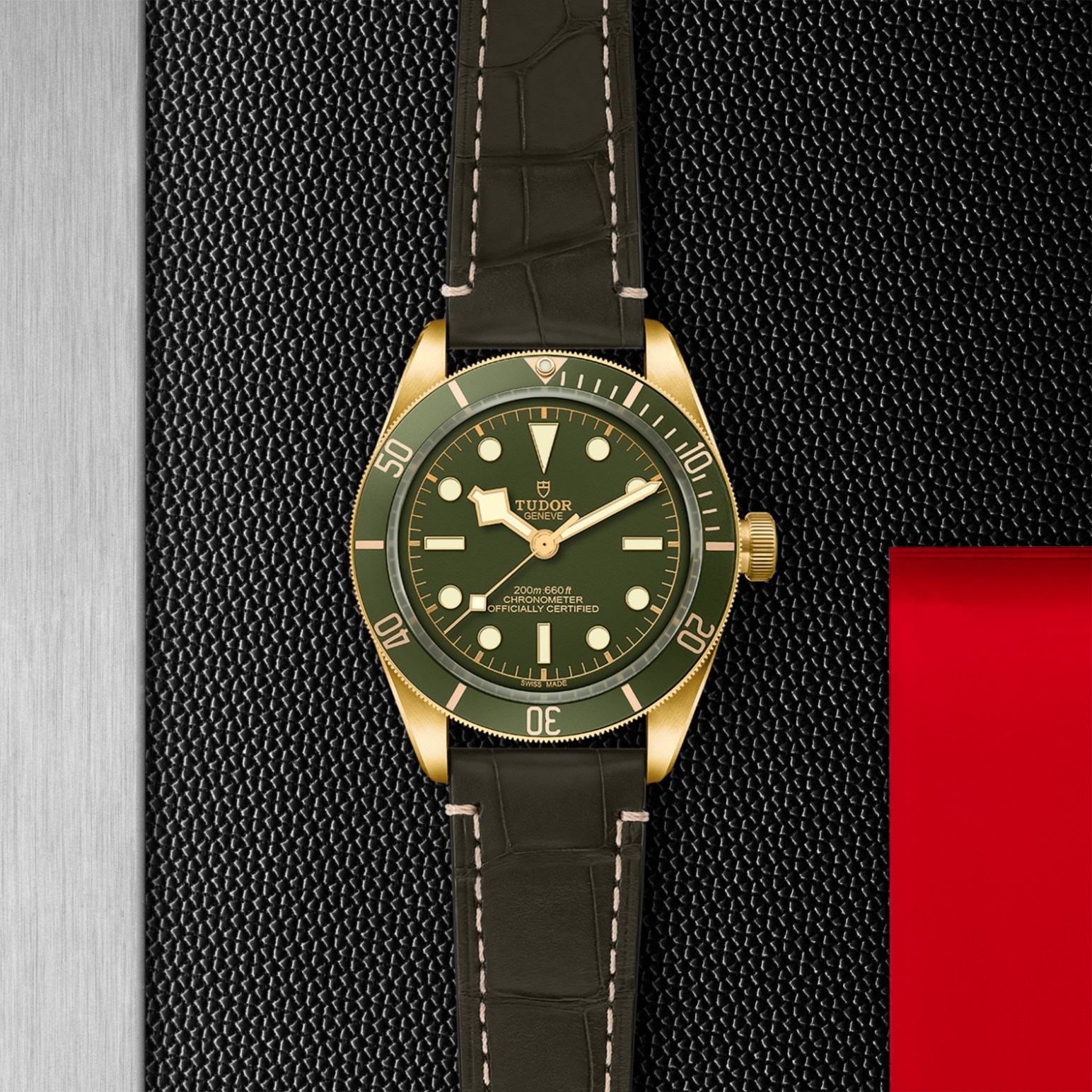 TUDOR Black Bay 58 Watch - M79018V-0001 at Tiny Jewel Box