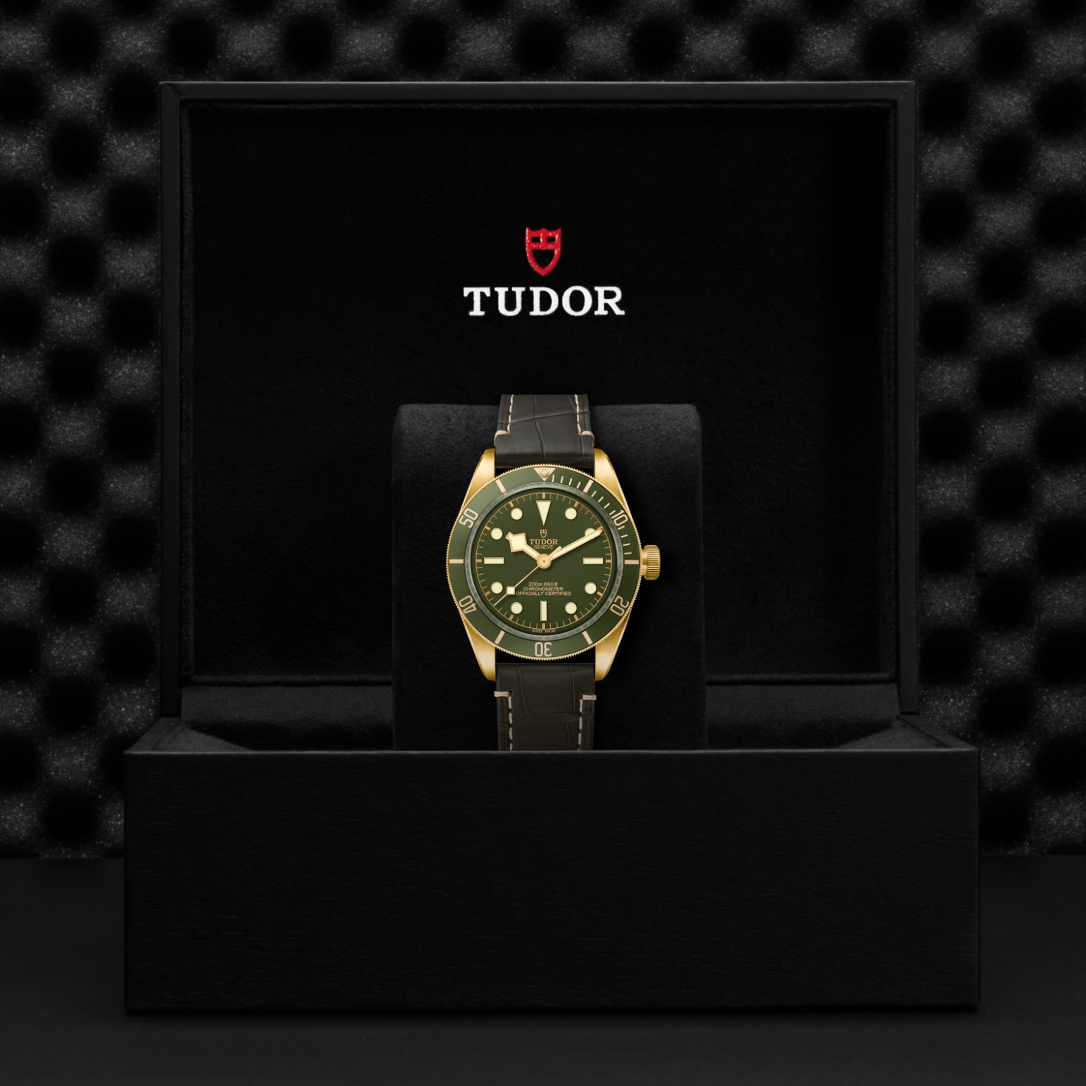 TUDOR Black Bay 58 Watch - M79018V-0001 at Tiny Jewel Box