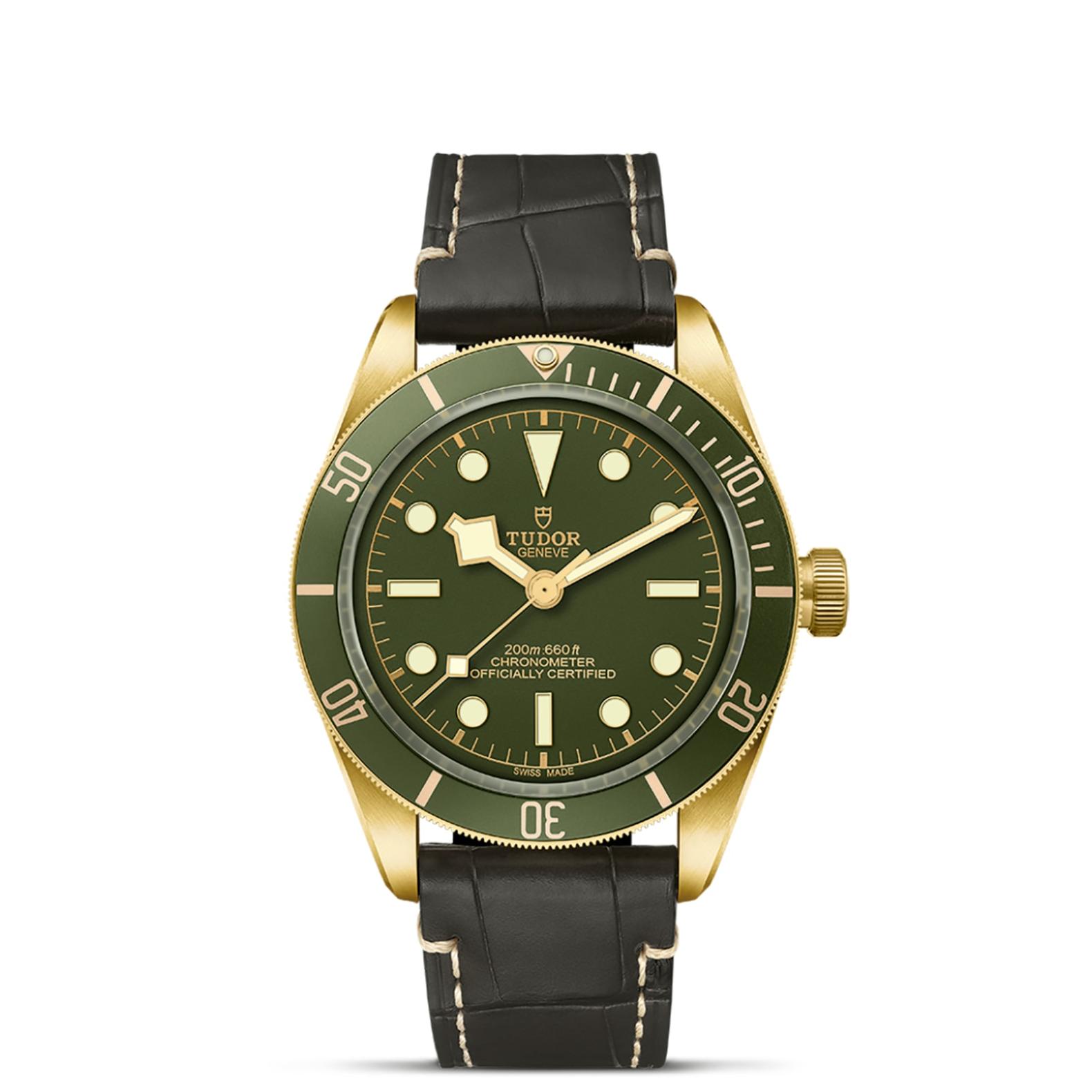 TUDOR Black Bay 58 Watch - M79018V-0001 at Tiny Jewel Box