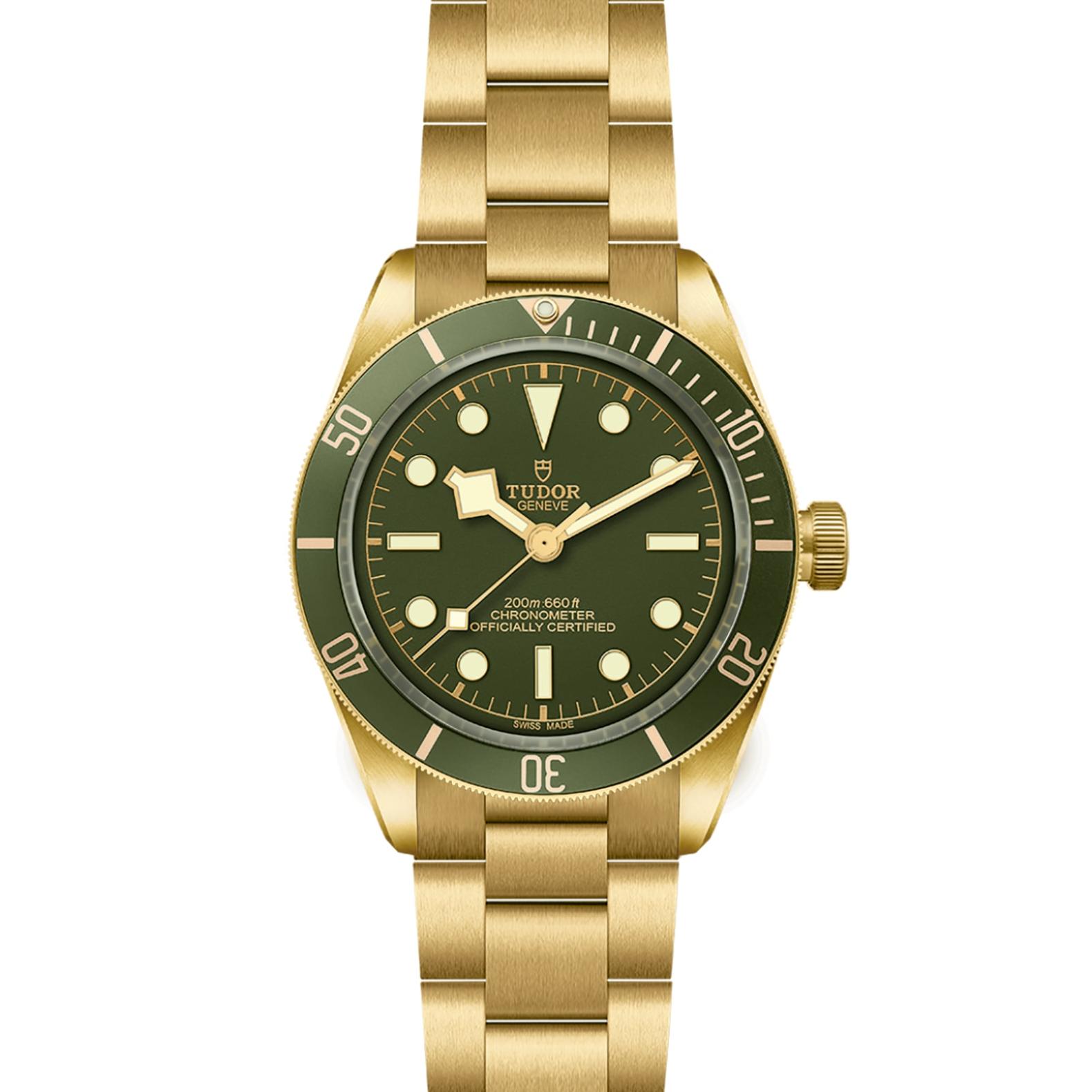 TUDOR Black Bay 58 Watch - M79018V-0006 at Tiny Jewel Box