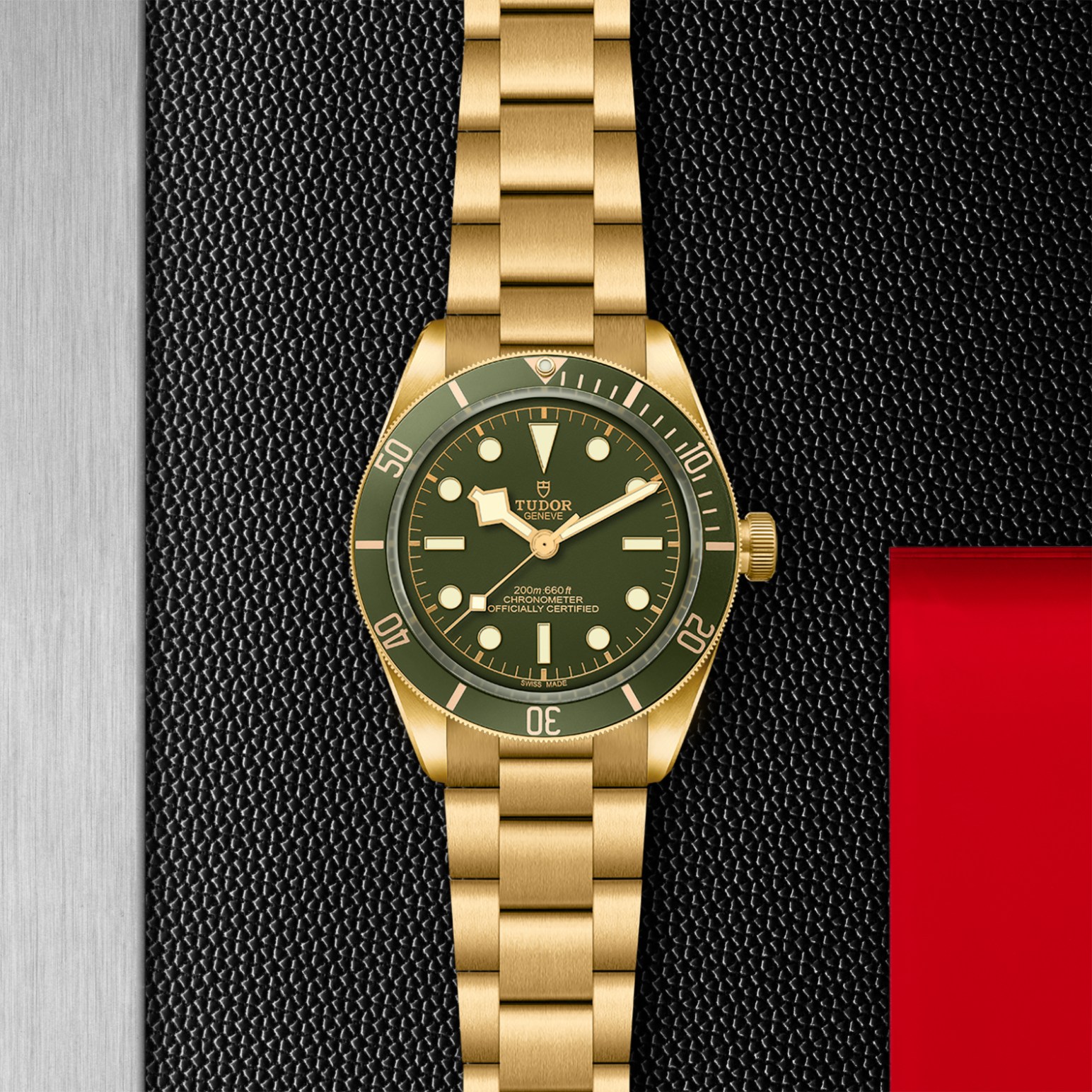 TUDOR Black Bay 58 Watch - M79018V-0006 at Tiny Jewel Box