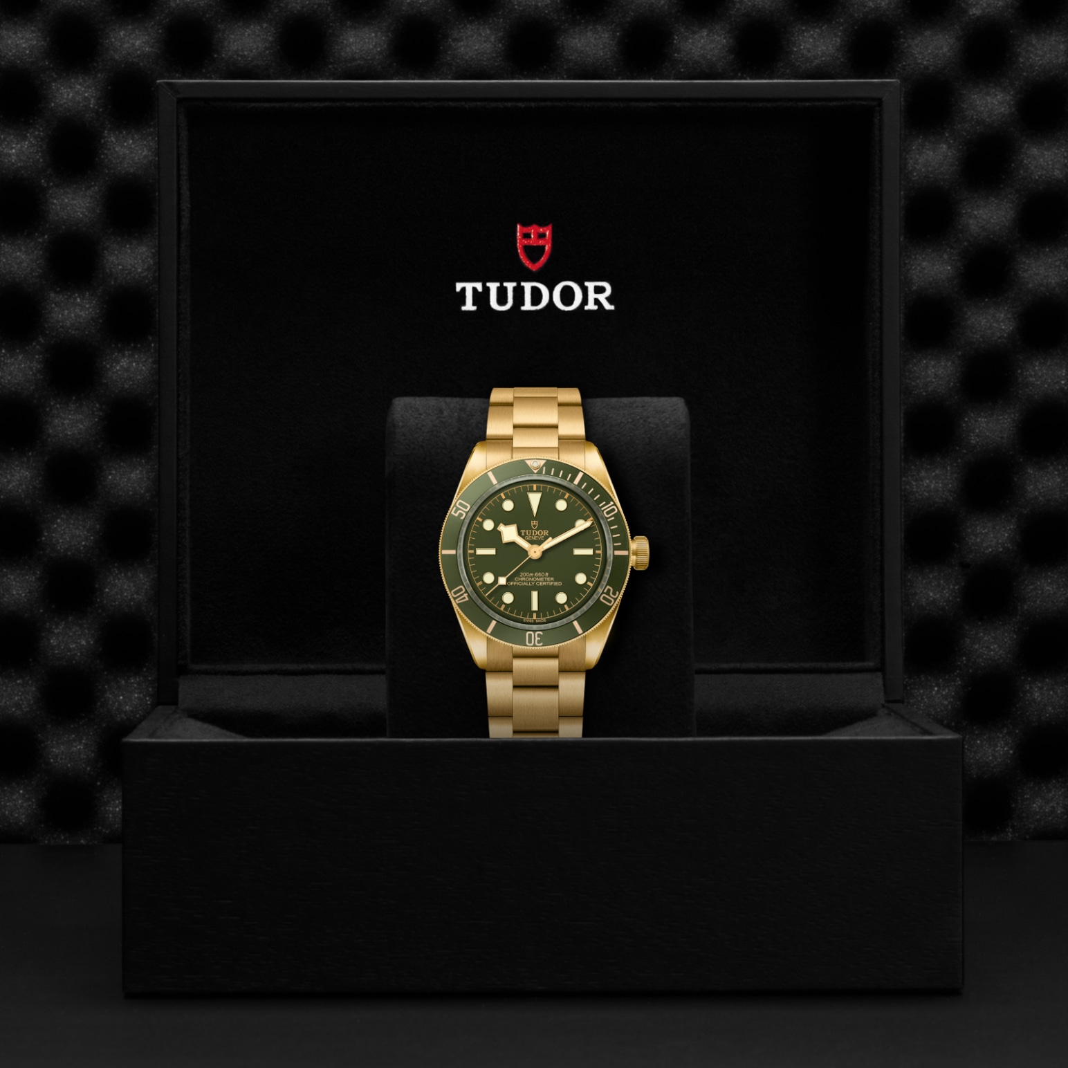 TUDOR Black Bay 58 Watch - M79018V-0006 at Tiny Jewel Box