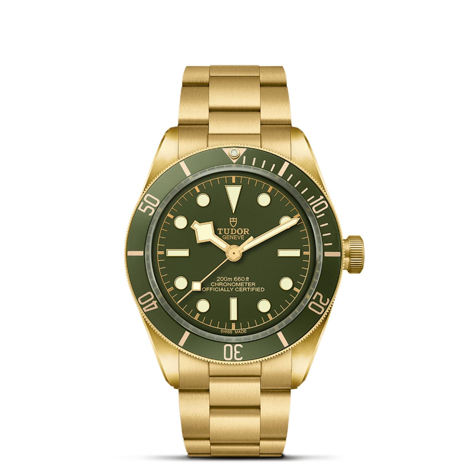 TUDOR Black Bay 58 Watch - M79018V-0006 at Tiny Jewel Box