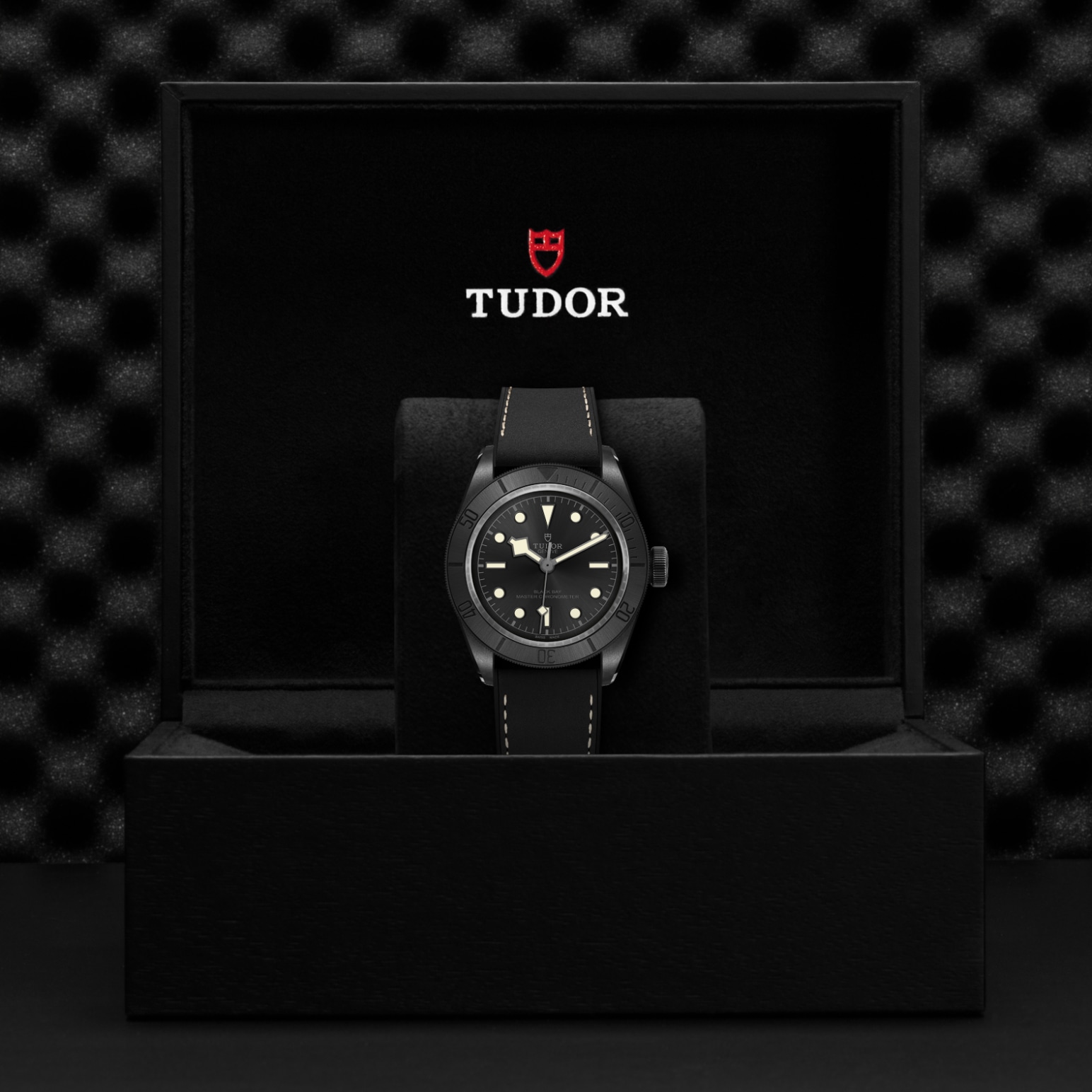 TUDOR Black Bay Watch - M79210CNU-0001 at Tiny Jewel Box