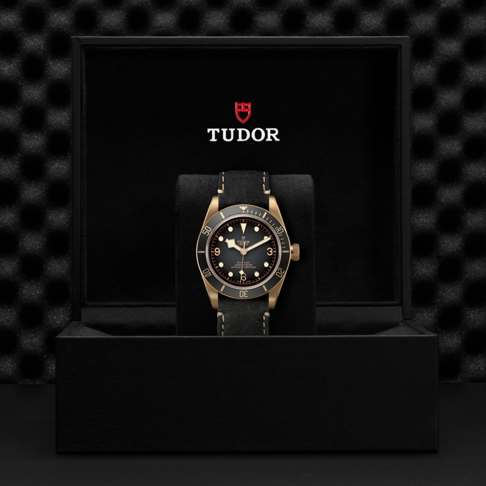 TUDOR Black Bay Bronze Watch - M79250BA-0001 at Tiny Jewel Box