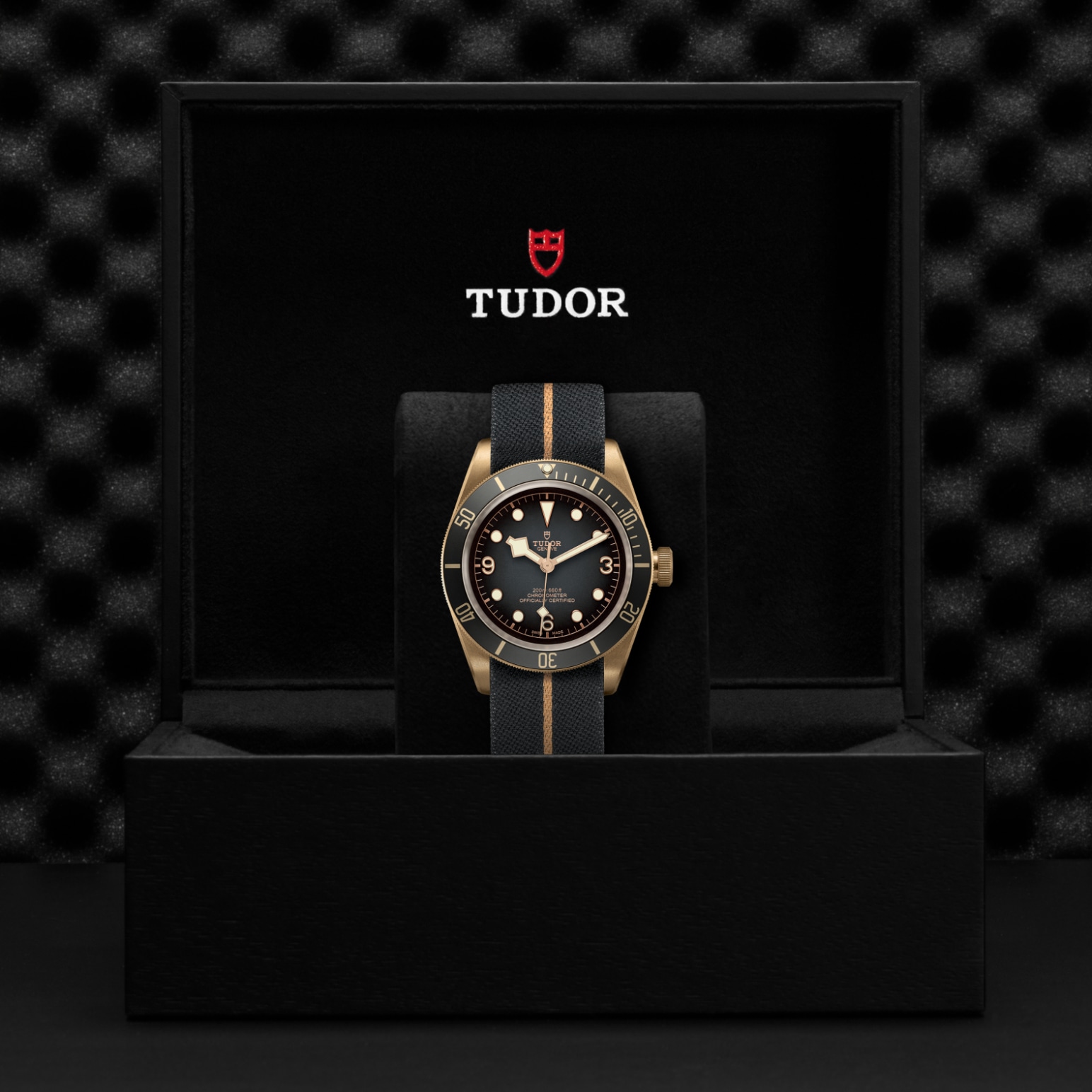 TUDOR Black Bay Bronze Watch - M79250BA-0002 at A.R. Morris Jewelers