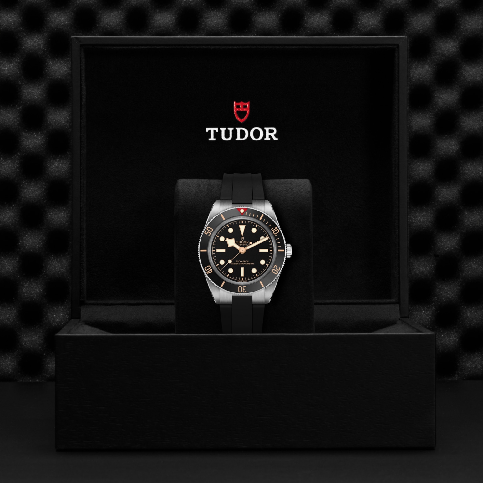 TUDOR Black Bay 58 Watch - M7939A1A0NU-0003 at William Barthman