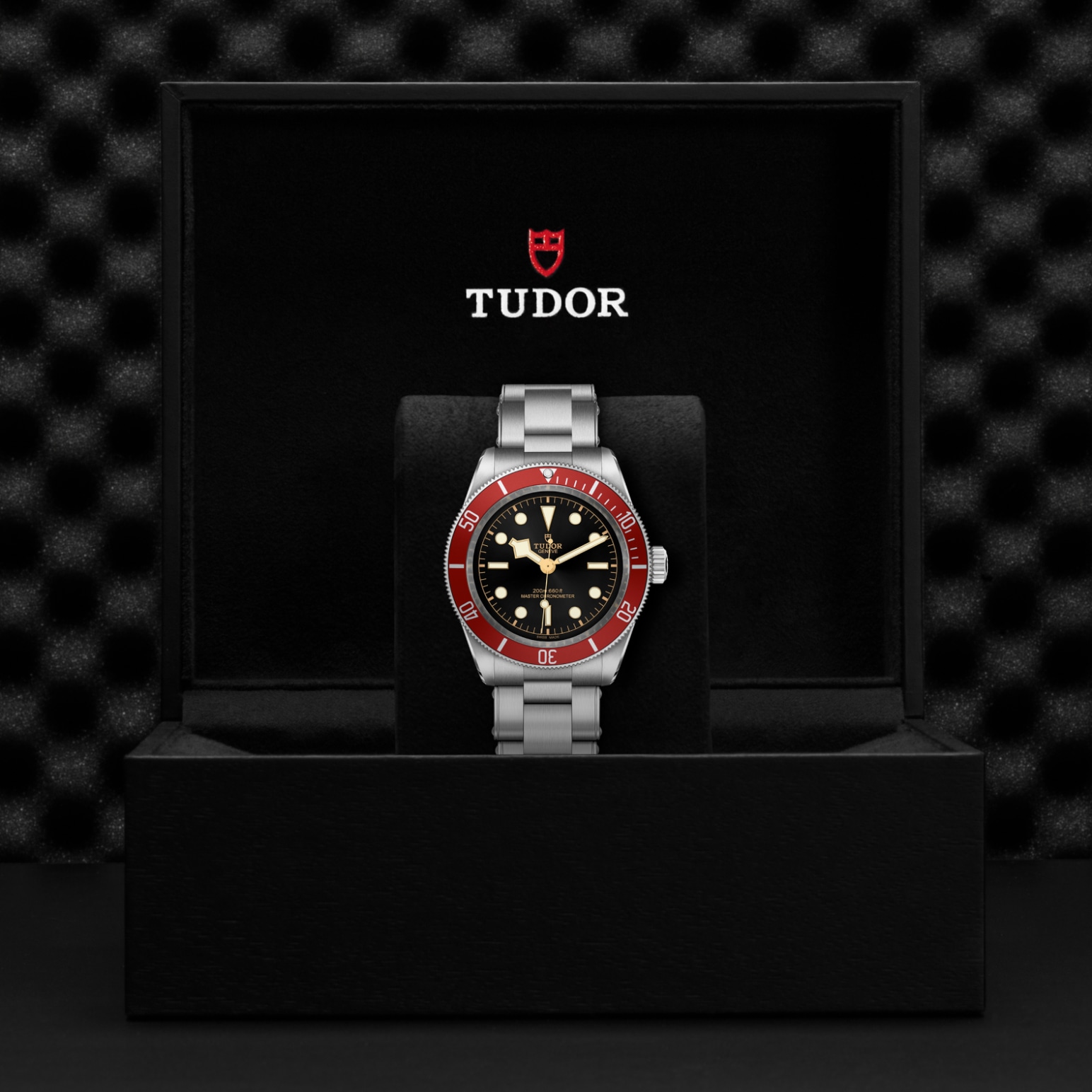 TUDOR Black Bay Watch - M7941A1A0RU-0001 at Tiny Jewel Box