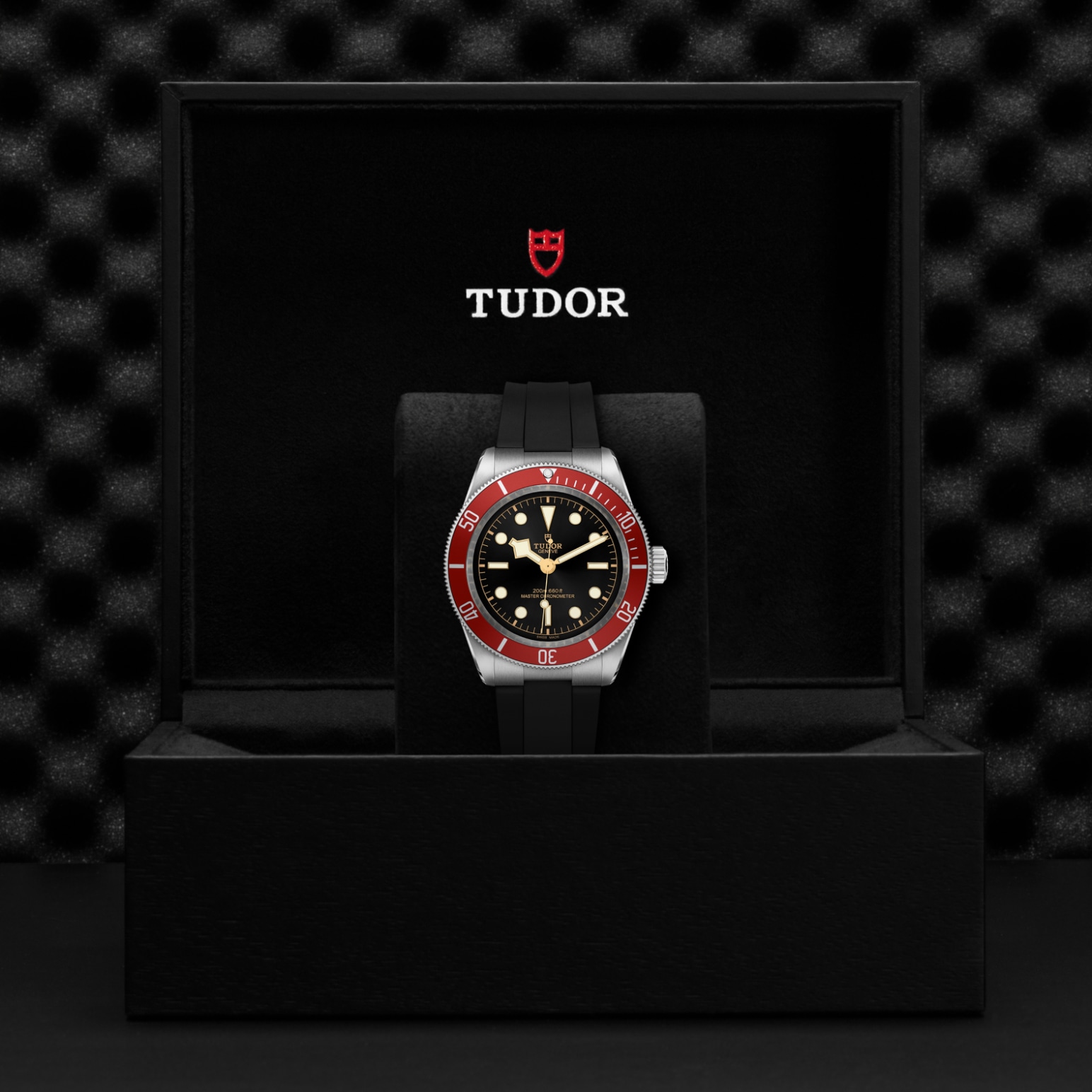 TUDOR Black Bay Watch - M7941A1A0RU-0002 at A.R. Morris Jewelers