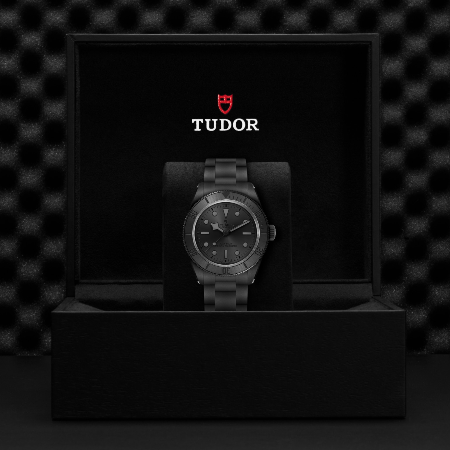 TUDOR Black Bay Watch - M7941A1ACNU-0001 at William Barthman