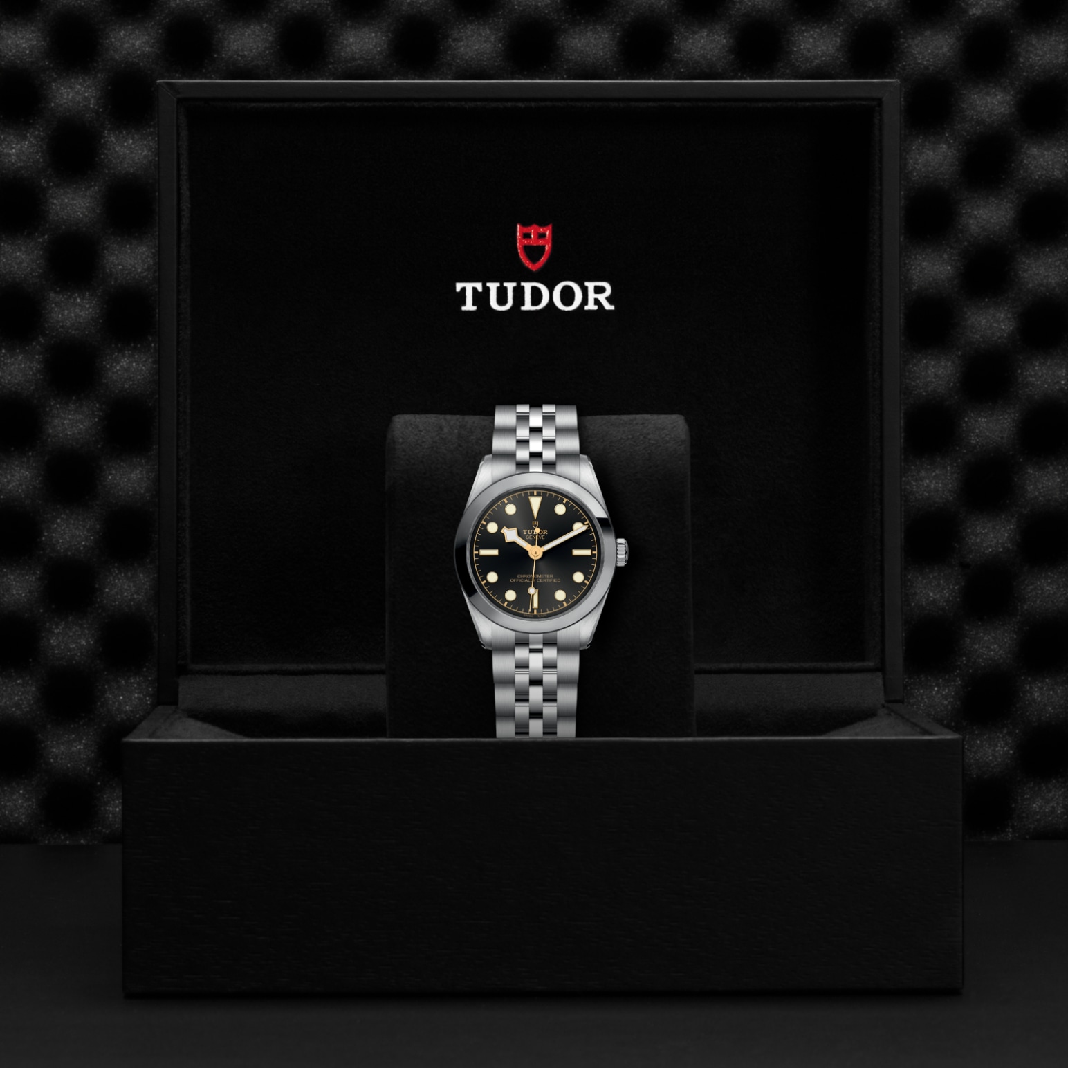 TUDOR Black Bay 31/36/39/41 Watch - M79600-0001 at A.R. Morris Jewelers