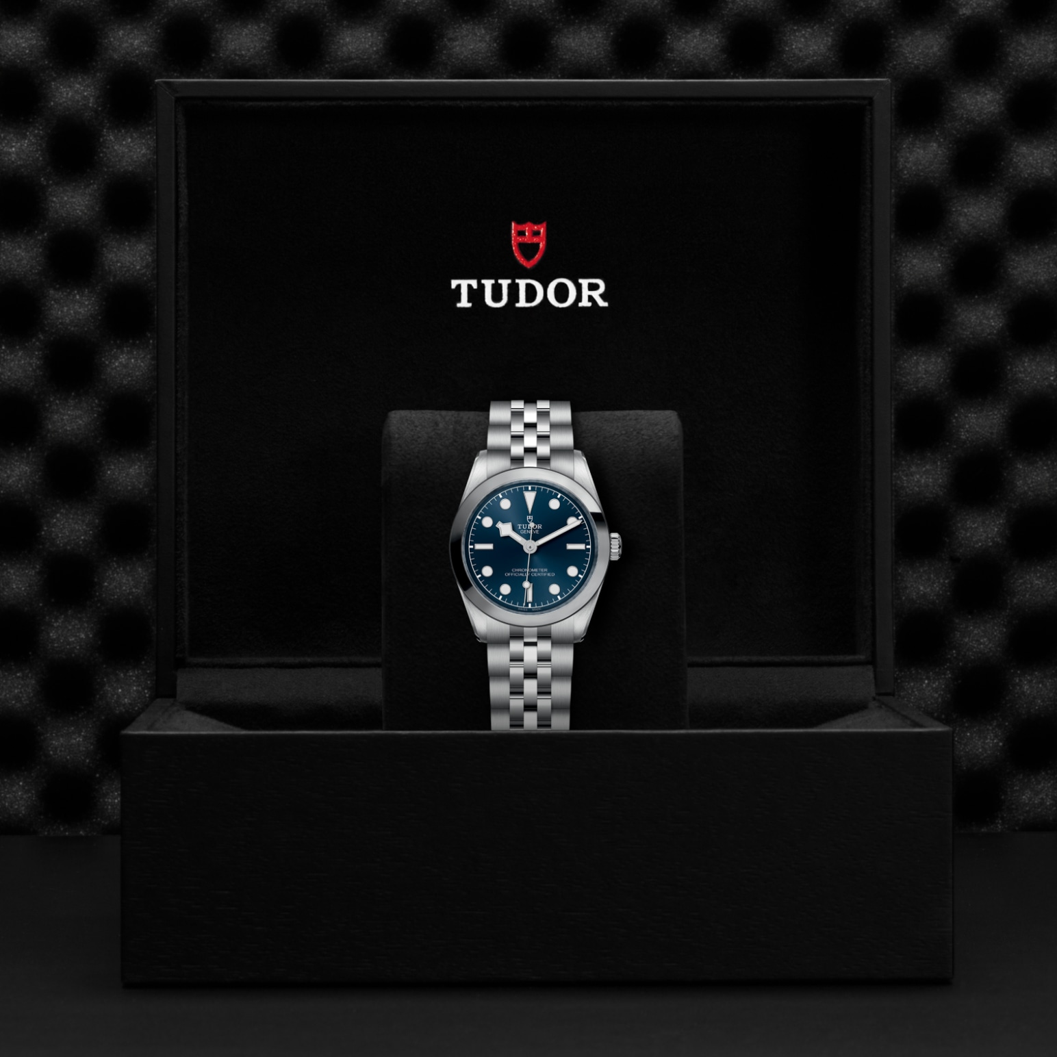 TUDOR Black Bay 31/36/39/41 Watch - M79600-0002 at A.R. Morris Jewelers