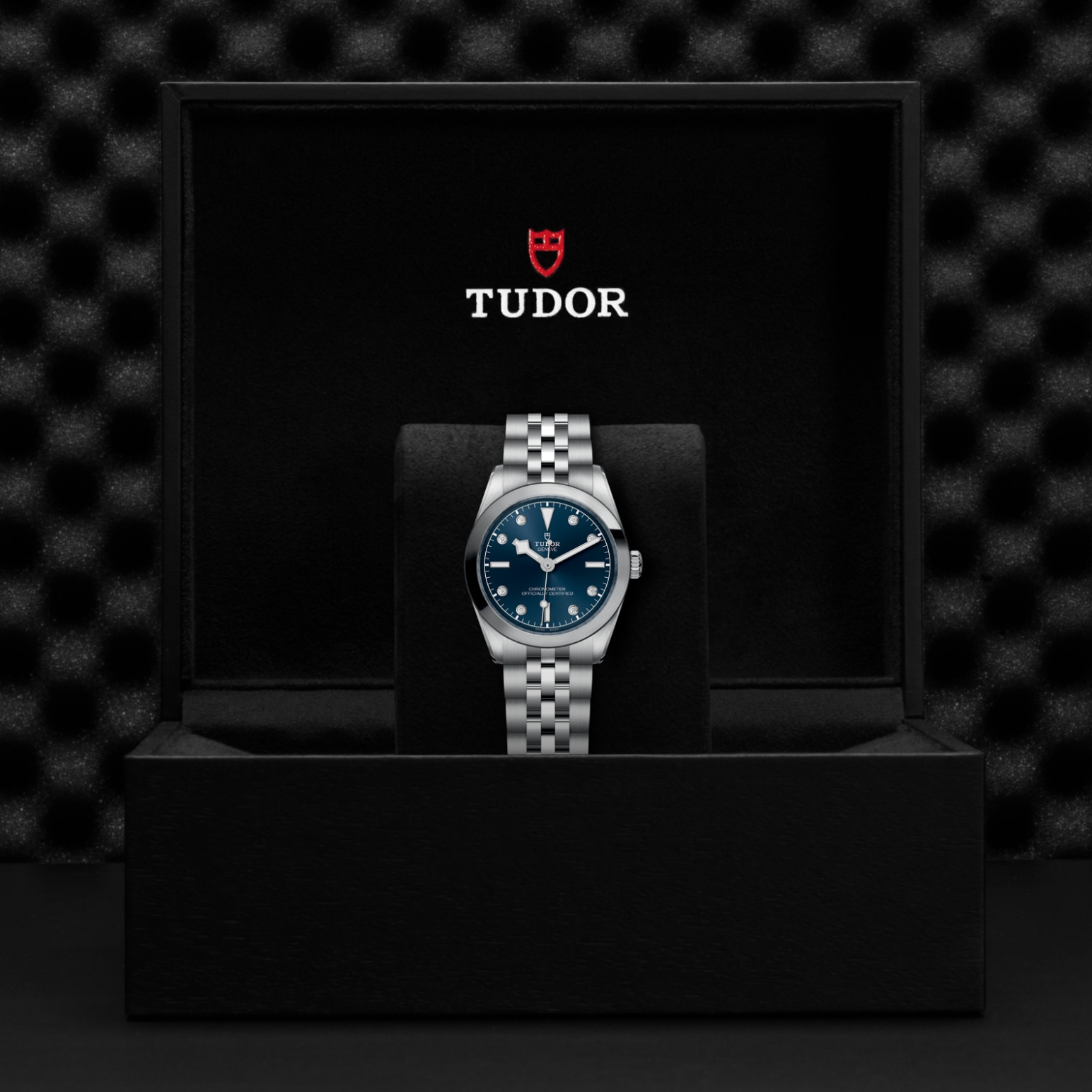TUDOR Black Bay 31/36/39/41 Watch - M79600-0005 at Tiny Jewel Box