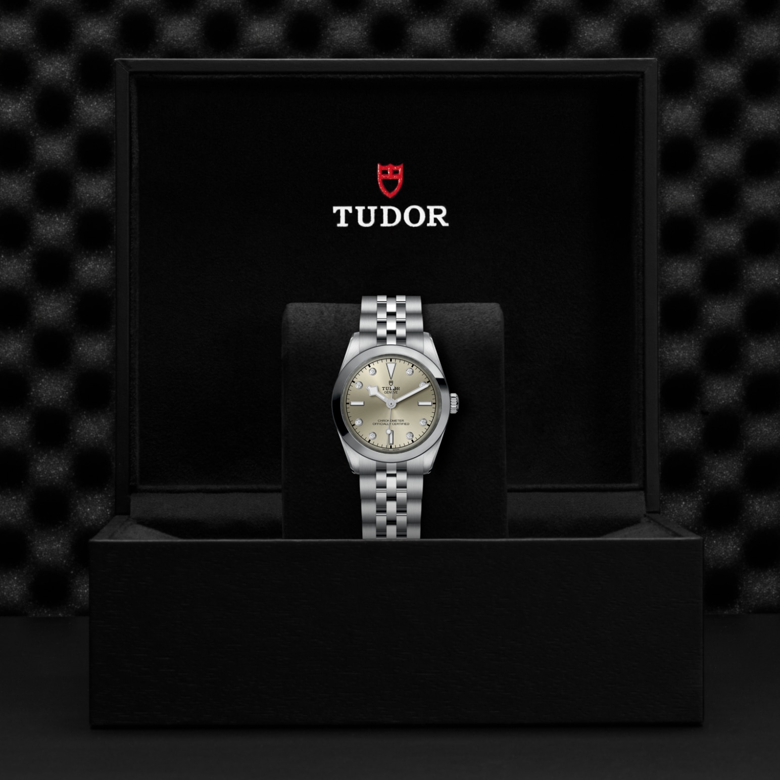 TUDOR Black Bay 31/36/39/41 Watch - M79600-0006 at William Barthman