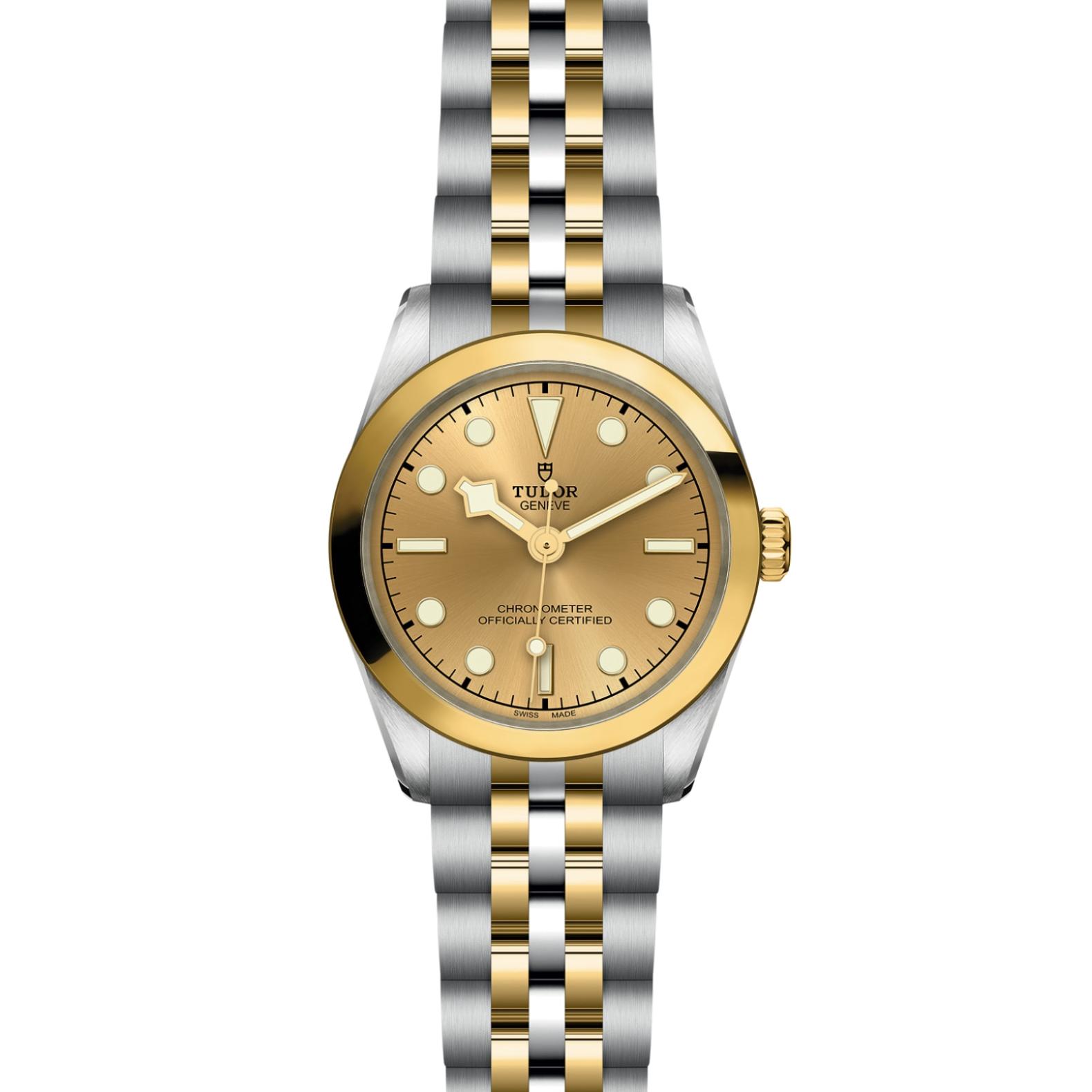 TUDOR Black Bay 31/36/39/41 S&G Watch - M79603-0005 at Tiny Jewel Box