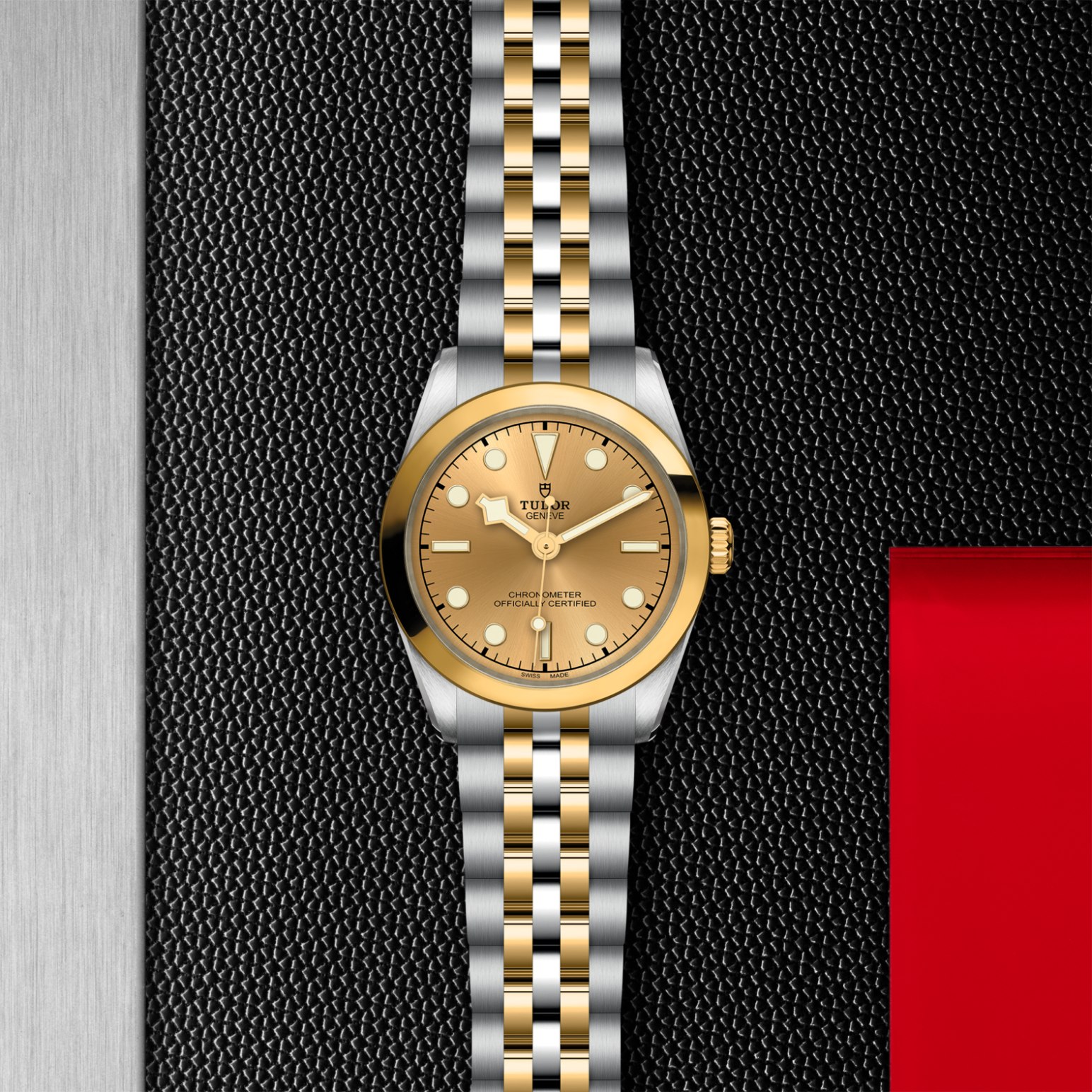 TUDOR Black Bay 31/36/39/41 S&G Watch - M79603-0005 at Tiny Jewel Box