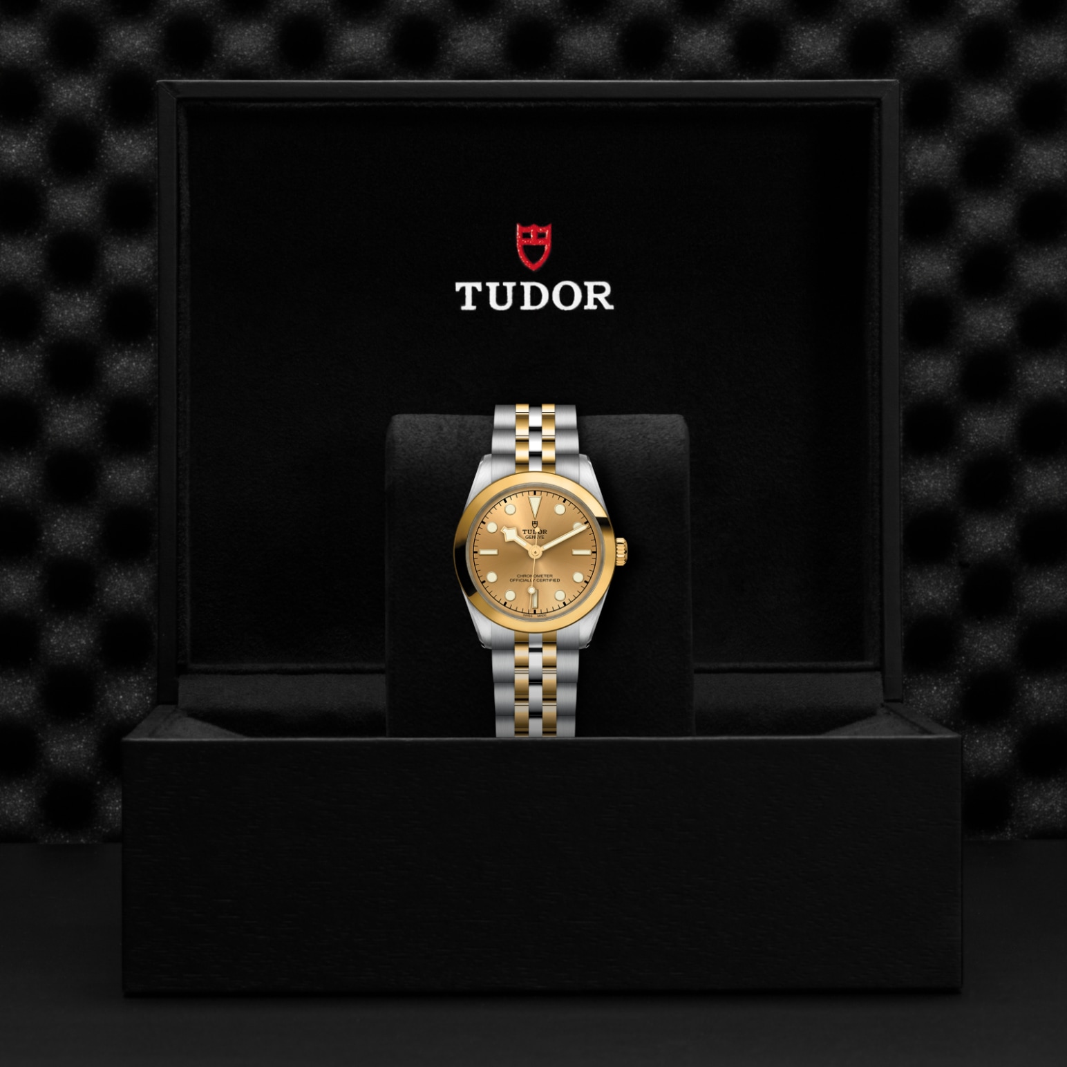 TUDOR Black Bay 31/36/39/41 S&G Watch - M79603-0005 at Tiny Jewel Box