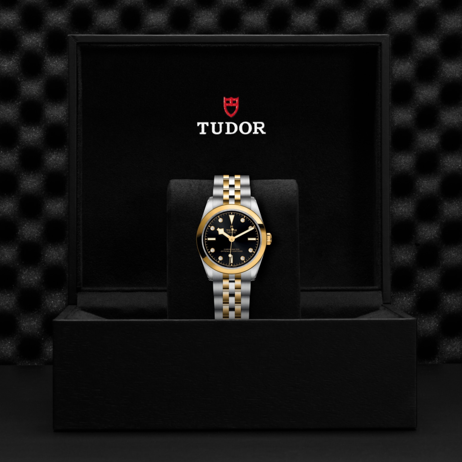 TUDOR Black Bay 31/36/39/41 S&G Watch - M79603-0006 at Tiny Jewel Box
