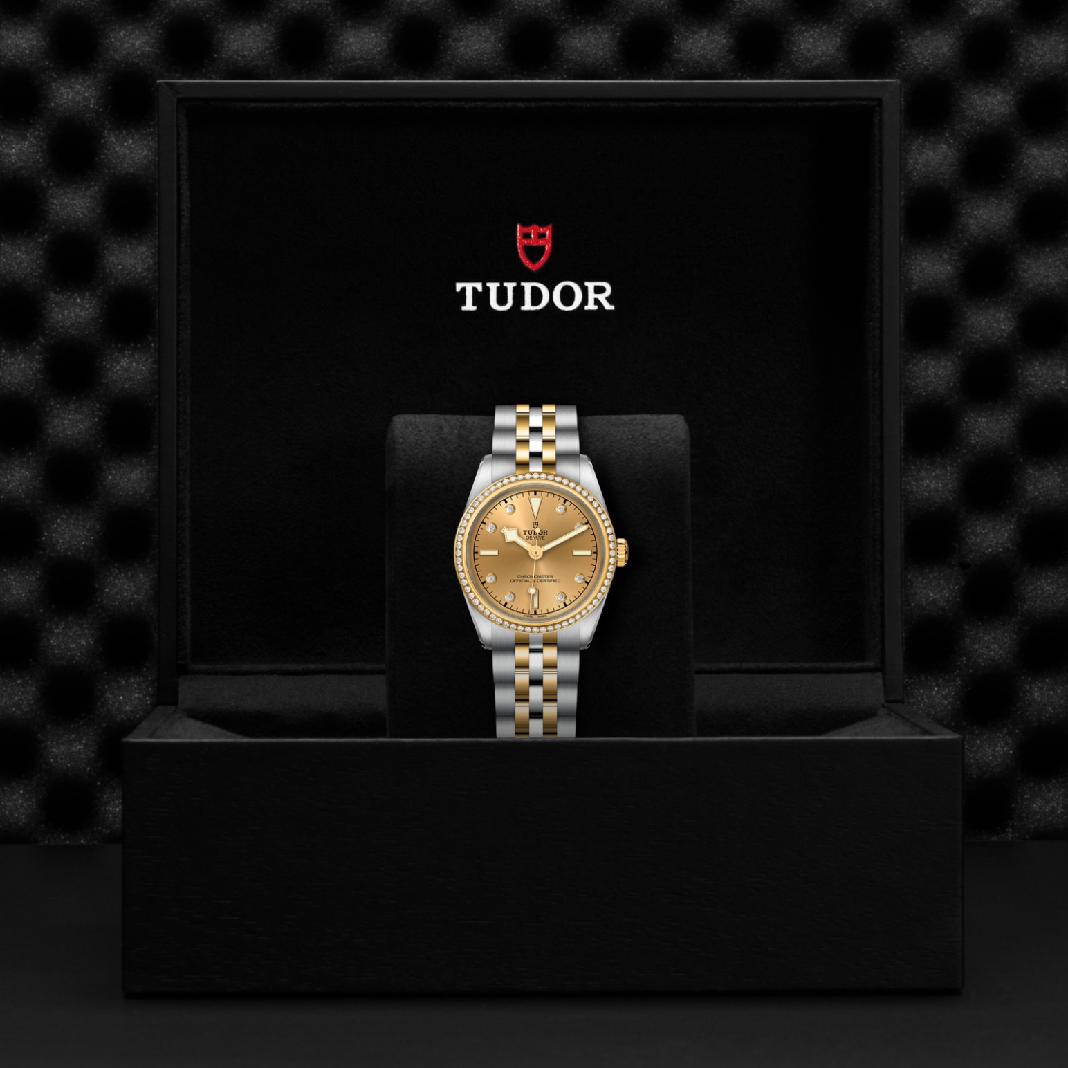 TUDOR Black Bay 31/36/39/41 S&G Watch - M79613-0007 at Tiny Jewel Box