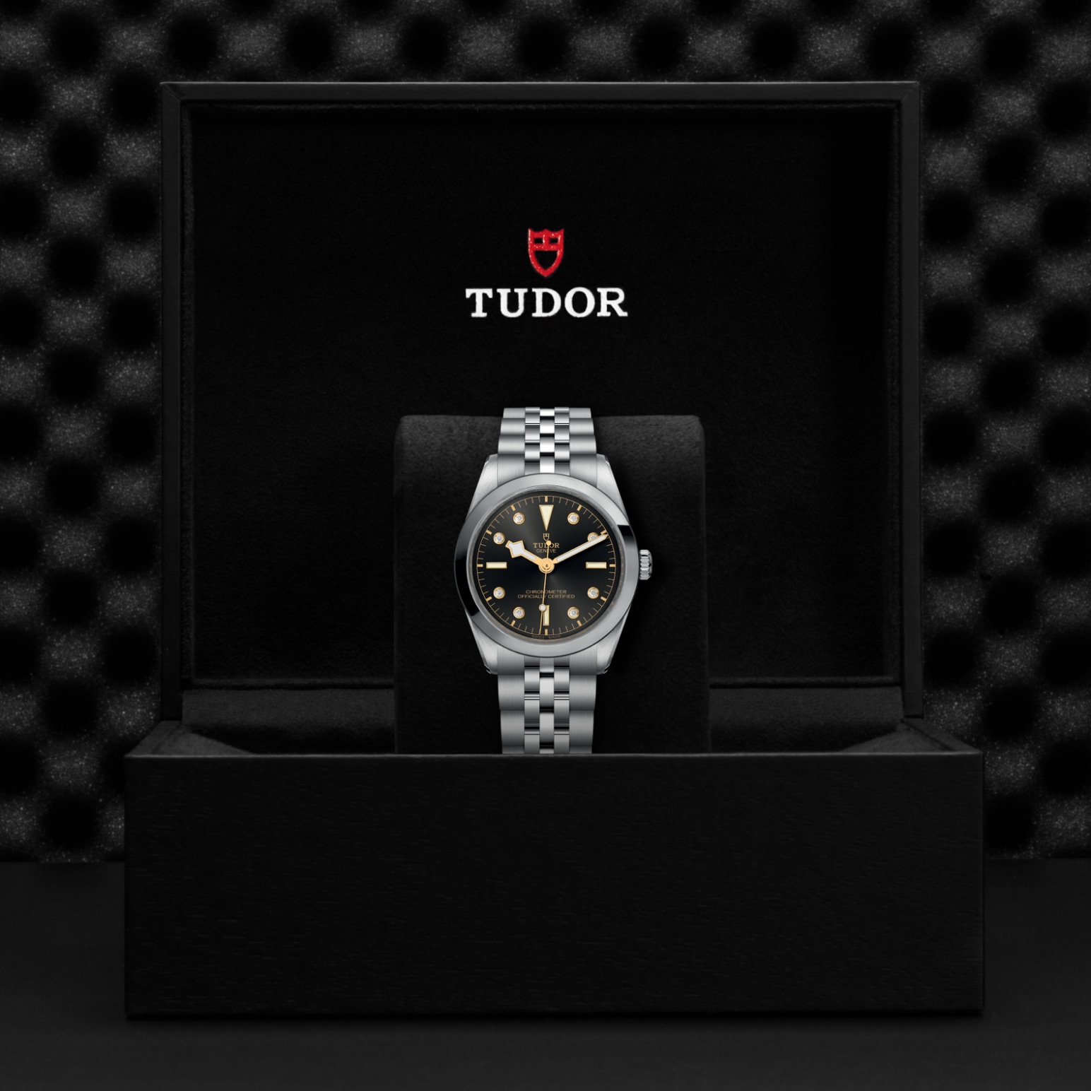 TUDOR Black Bay 31/36/39/41 Watch - M79640-0004 at Tiny Jewel Box