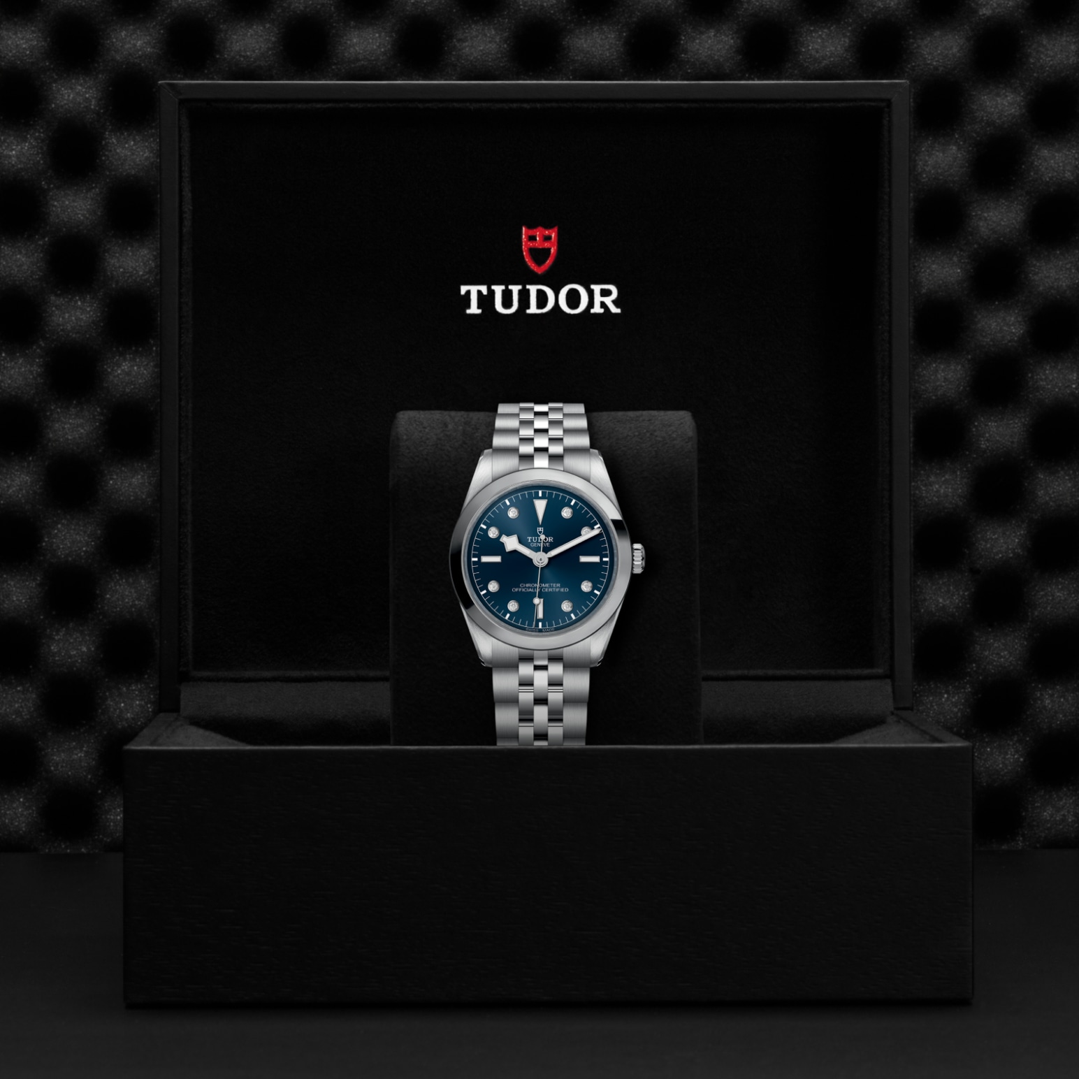 TUDOR Black Bay 31/36/39/41 Watch - M79640-0005 at Tiny Jewel Box