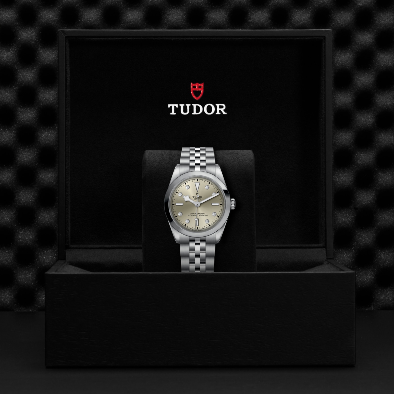 TUDOR Black Bay 31/36/39/41 Watch - M79640-0006 at Tiny Jewel Box