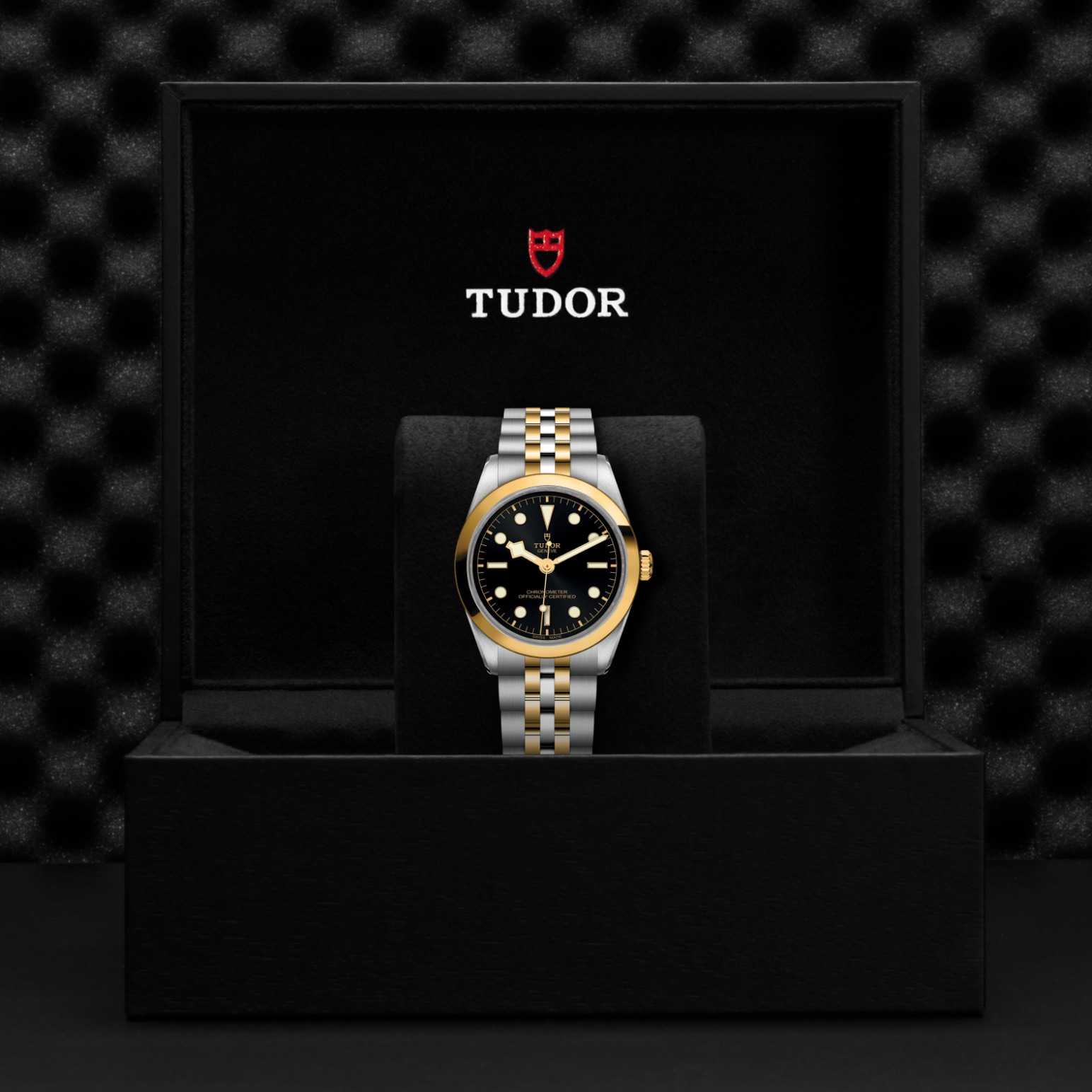 TUDOR Black Bay 31/36/39/41 S&G Watch - M79643-0001 at William Barthman