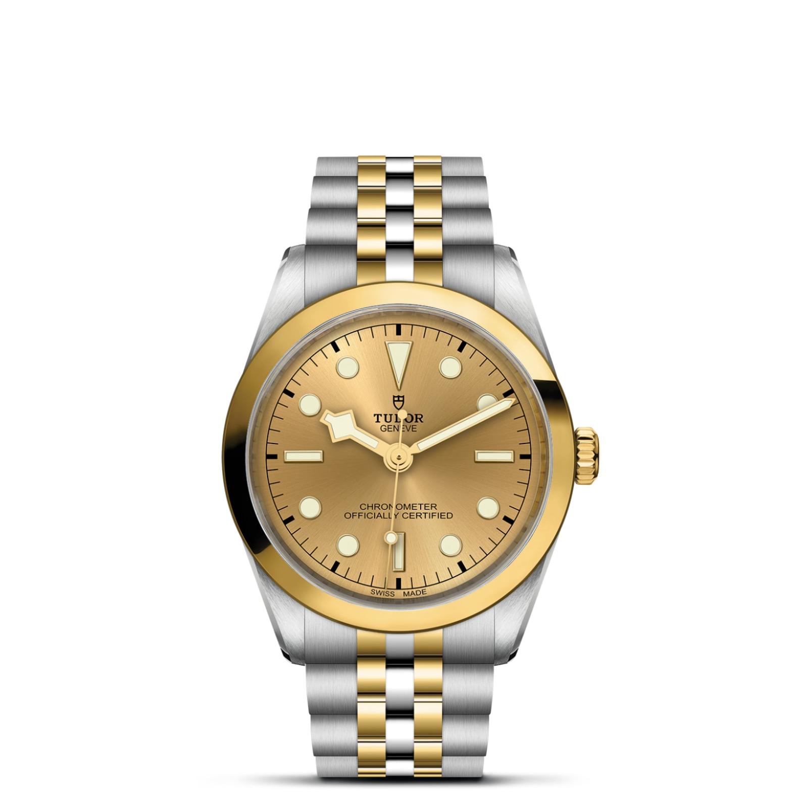 TUDOR Black Bay 31/36/39/41 S&G 36mm Steel Case Watch - M79643-0005 at Tiny Jewel Box
