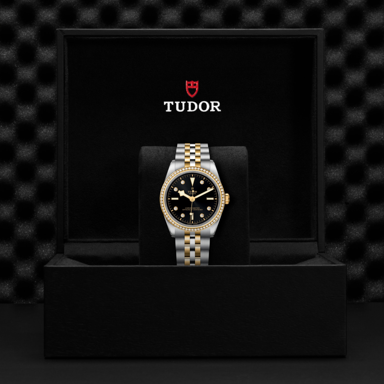 TUDOR Black Bay 31/36/39/41 S&G Watch - M79653-0005 at Tiny Jewel Box