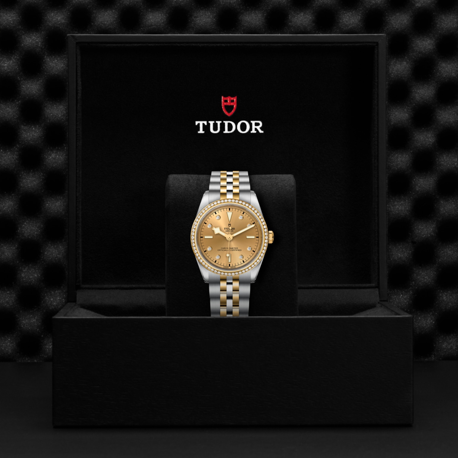 TUDOR Black Bay 31/36/39/41 S&G Watch - M79653-0007 at Tiny Jewel Box