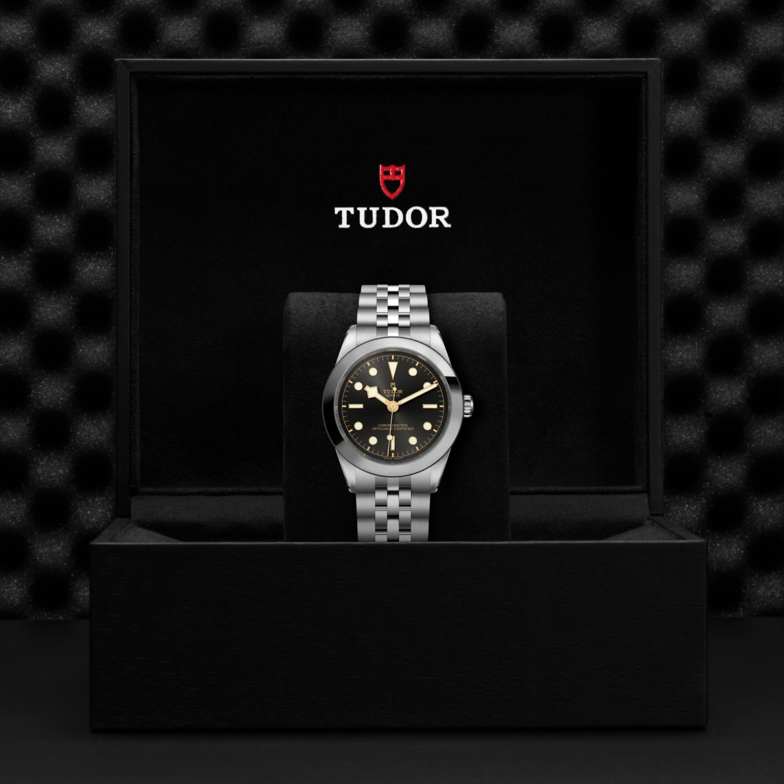TUDOR Black Bay 31/36/39/41 Watch - M79660-0001 at A.R. Morris Jewelers