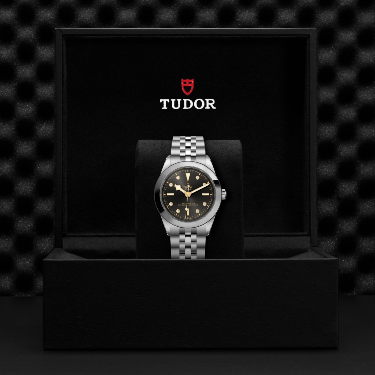 TUDOR Black Bay 31/36/39/41 Watch - M79660-0004 at A.R. Morris Jewelers