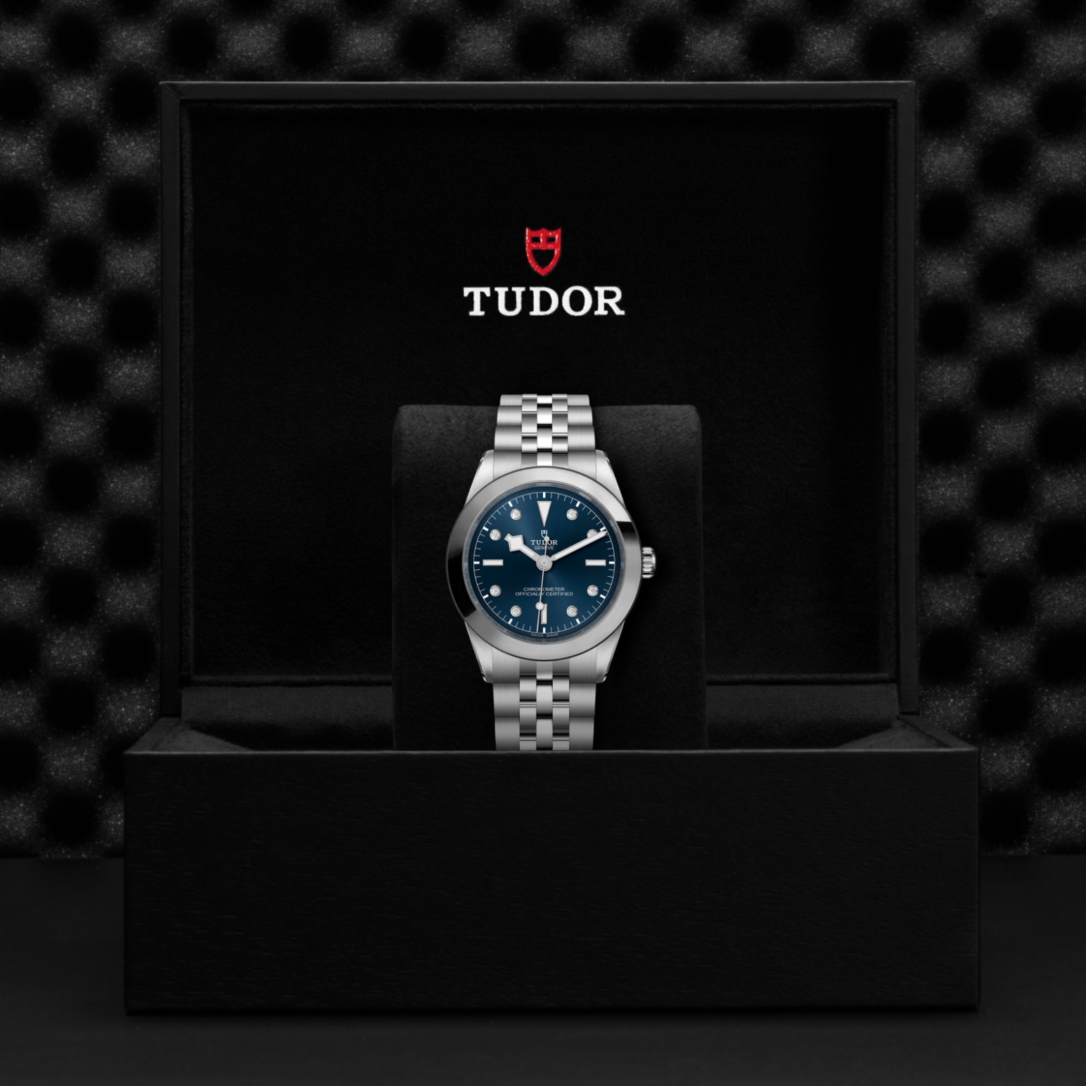 TUDOR Black Bay 31/36/39/41 Watch - M79660-0005 at Tiny Jewel Box