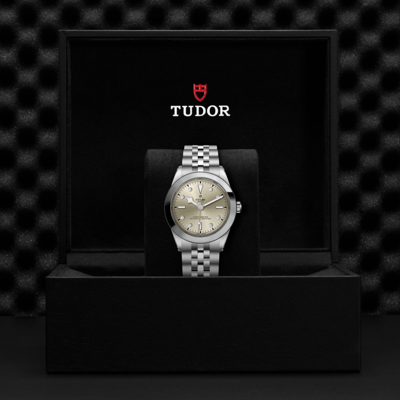 TUDOR Black Bay 31/36/39/41 Watch - M79660-0006 at A.R. Morris Jewelers