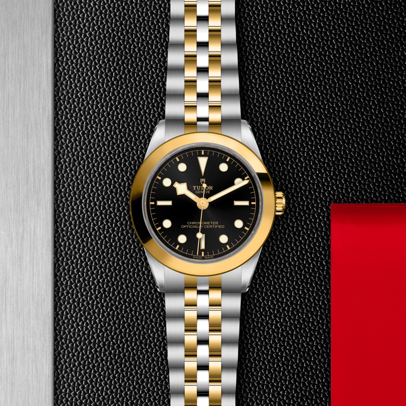 TUDOR Black Bay 31/36/39/41 S&G Watch - M79663-0001 at Tiny Jewel Box