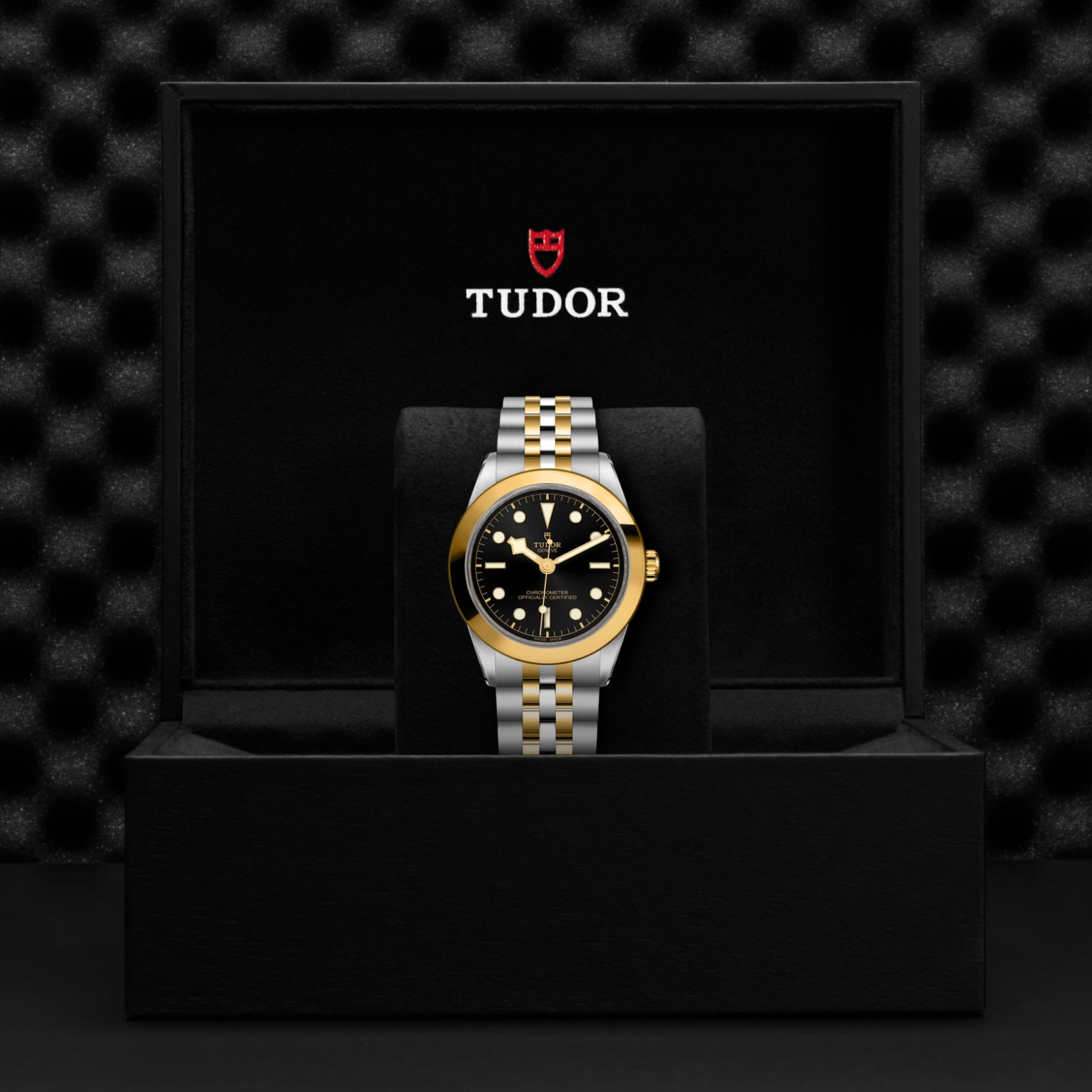 TUDOR Black Bay 31/36/39/41 S&G Watch - M79663-0001 at Tiny Jewel Box
