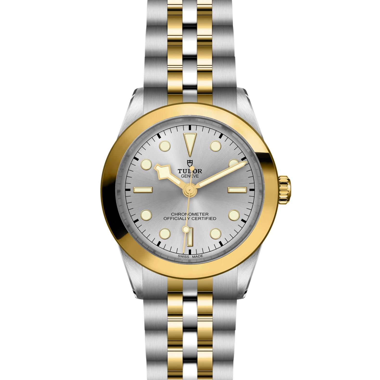 TUDOR Black Bay 31/36/39/41 S&G Watch - M79663-0002 at Tiny Jewel Box