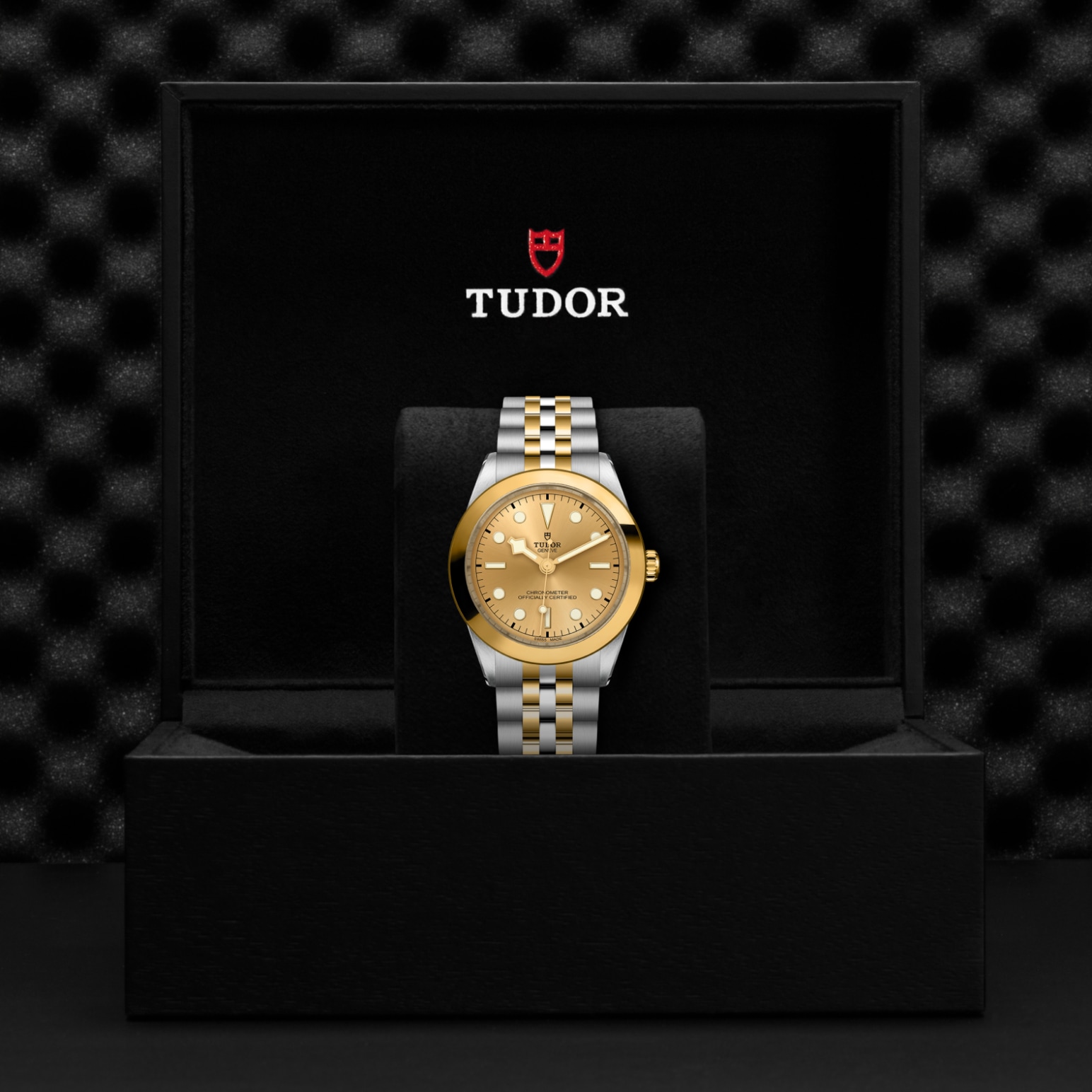 TUDOR Black Bay 31/36/39/41 S&G Watch - M79663-0005 at A.R. Morris Jewelers