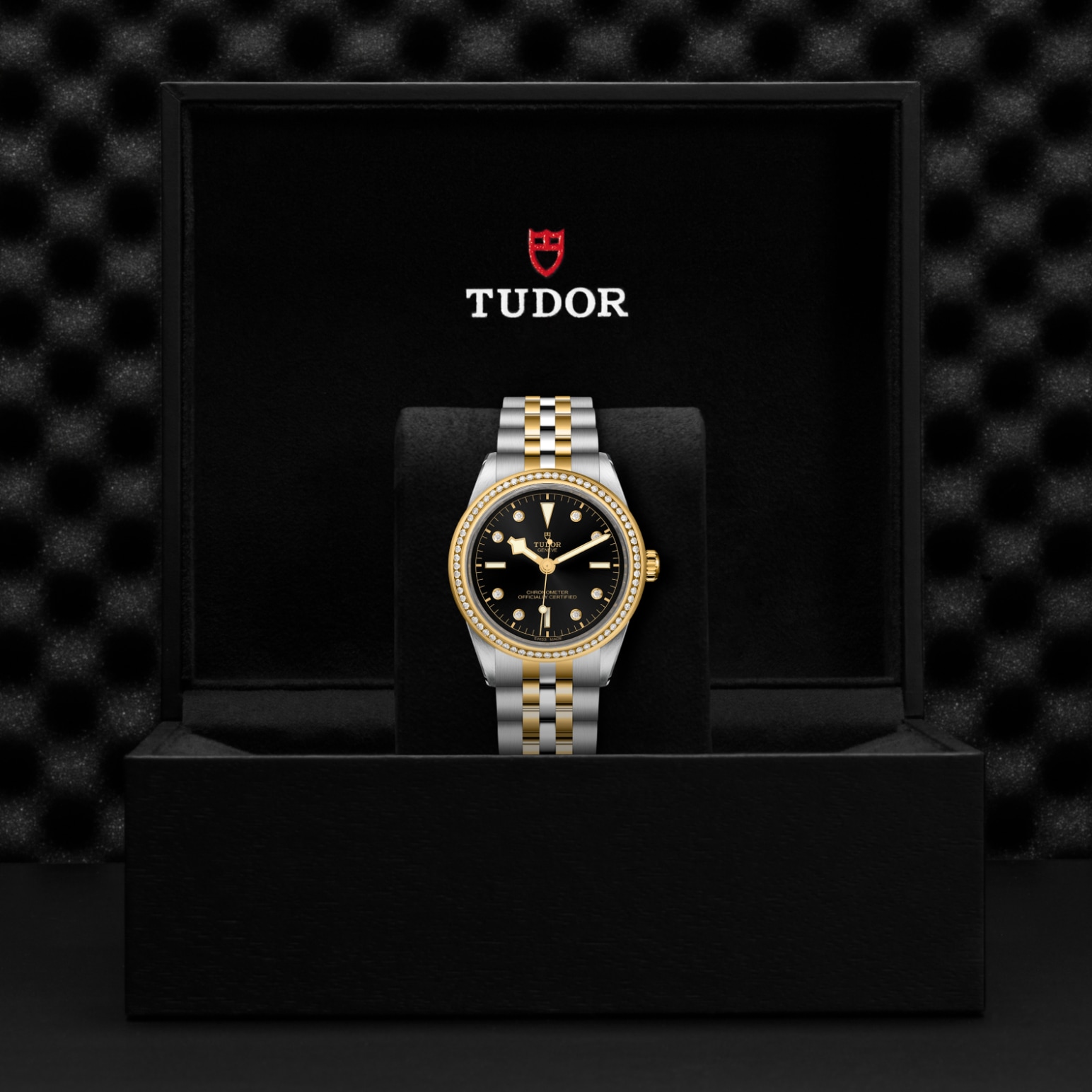 TUDOR Black Bay 31/36/39/41 S&G Watch - M79673-0005 at Tiny Jewel Box