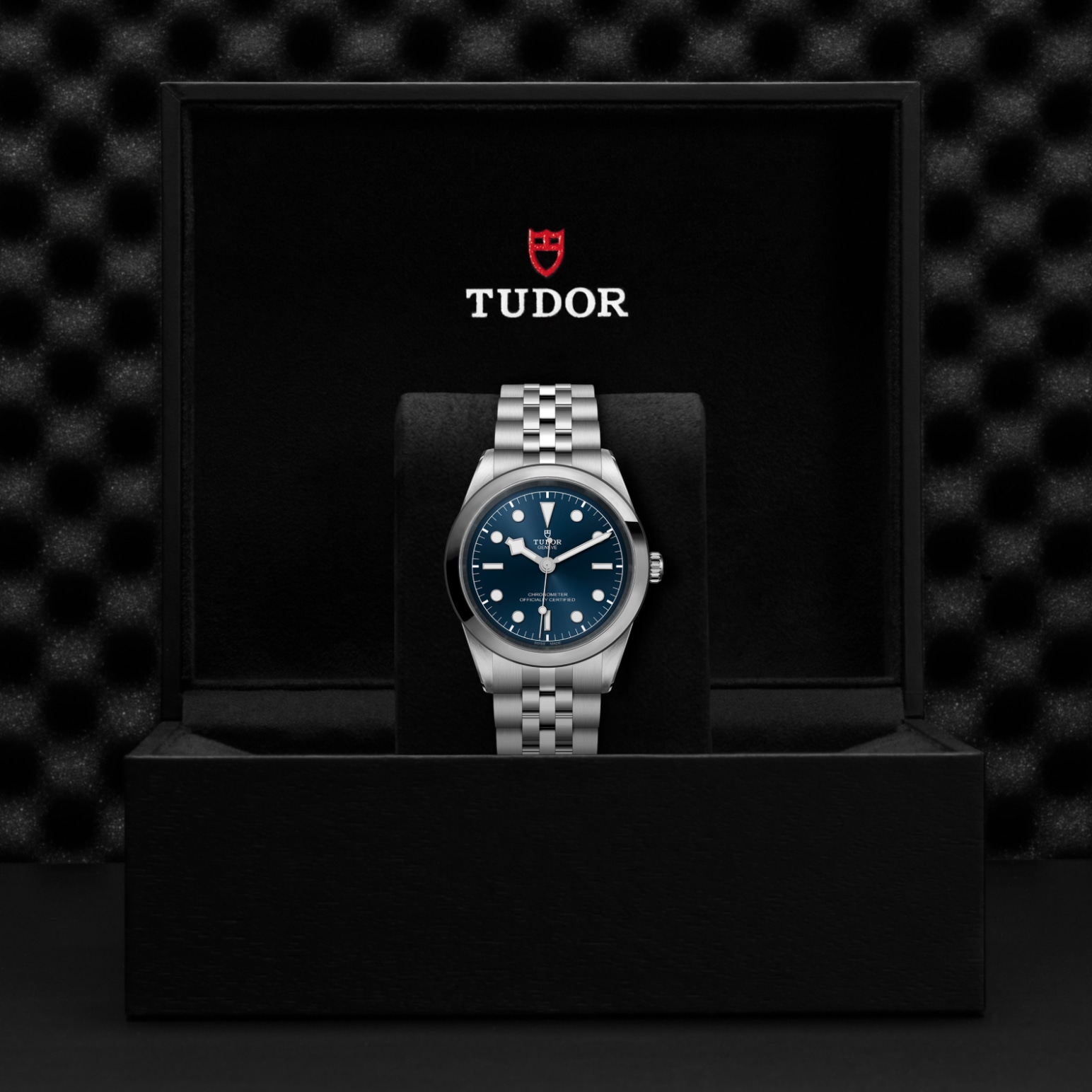 TUDOR Black Bay 31/36/39/41 Watch - M79680-0002 at A.R. Morris Jewelers