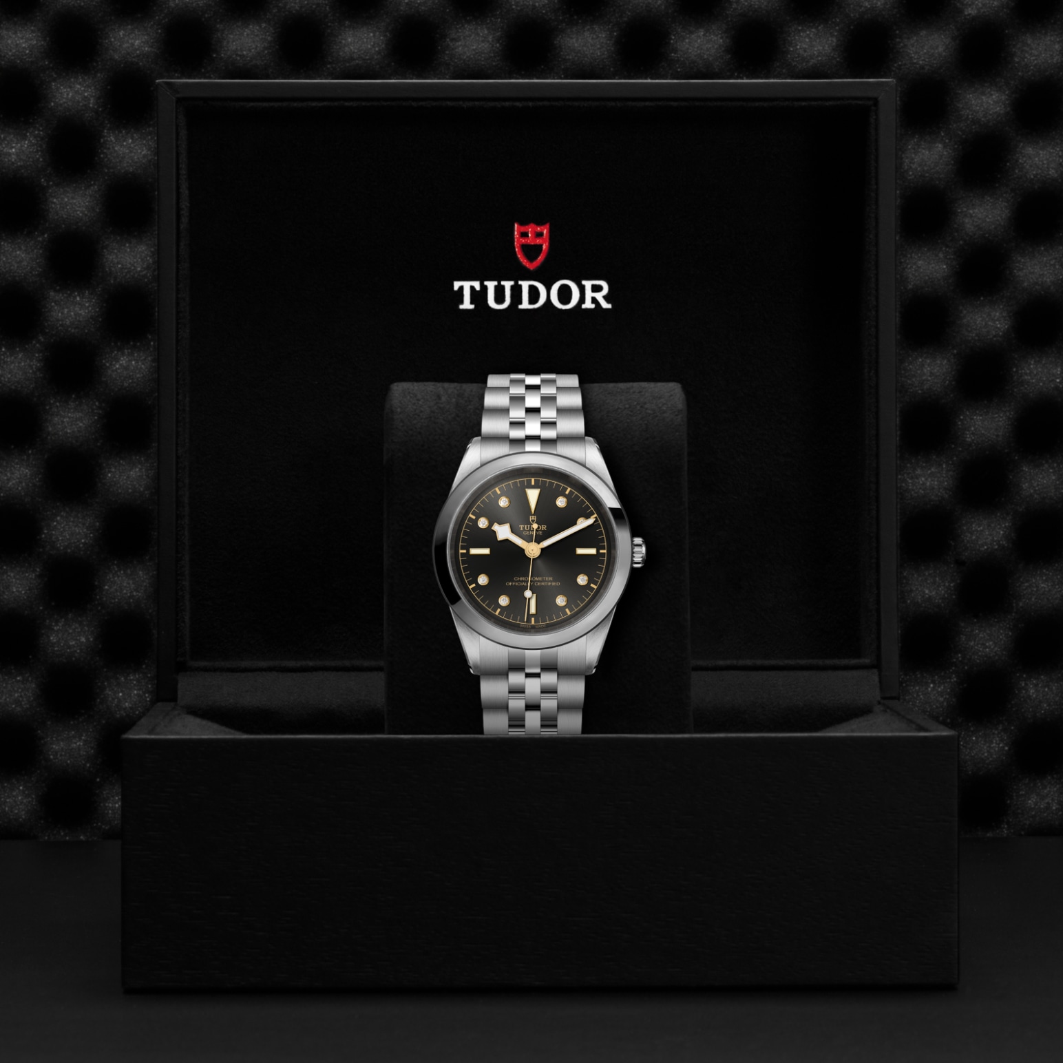 TUDOR Black Bay 31/36/39/41 Watch - M79680-0004 at A.R. Morris Jewelers