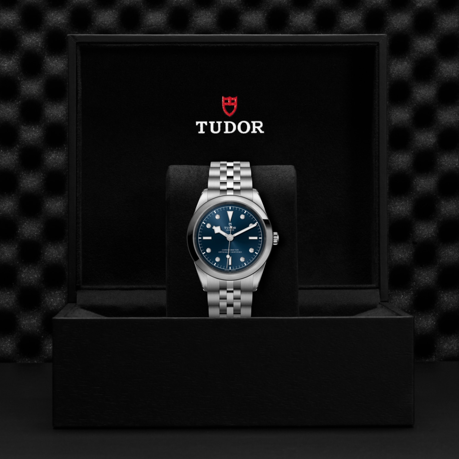 TUDOR Black Bay 31/36/39/41 Watch - M79680-0005 at Tiny Jewel Box